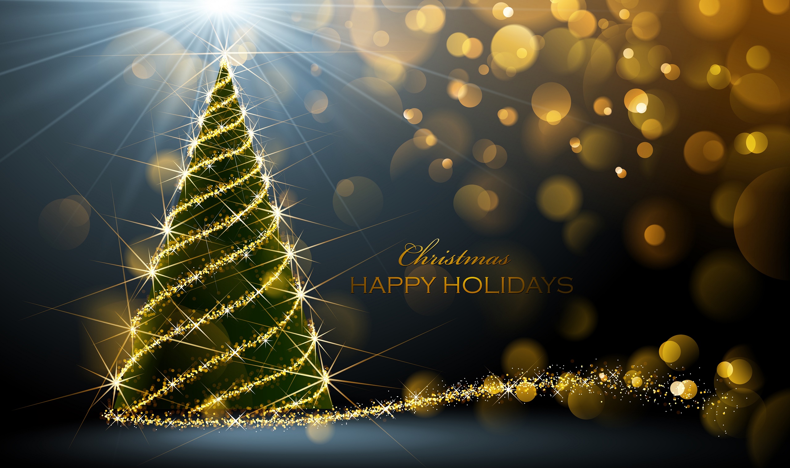 Baixe gratuitamente a imagem Natal, Árvore De Natal, Feriados, Luzes De Natal na área de trabalho do seu PC