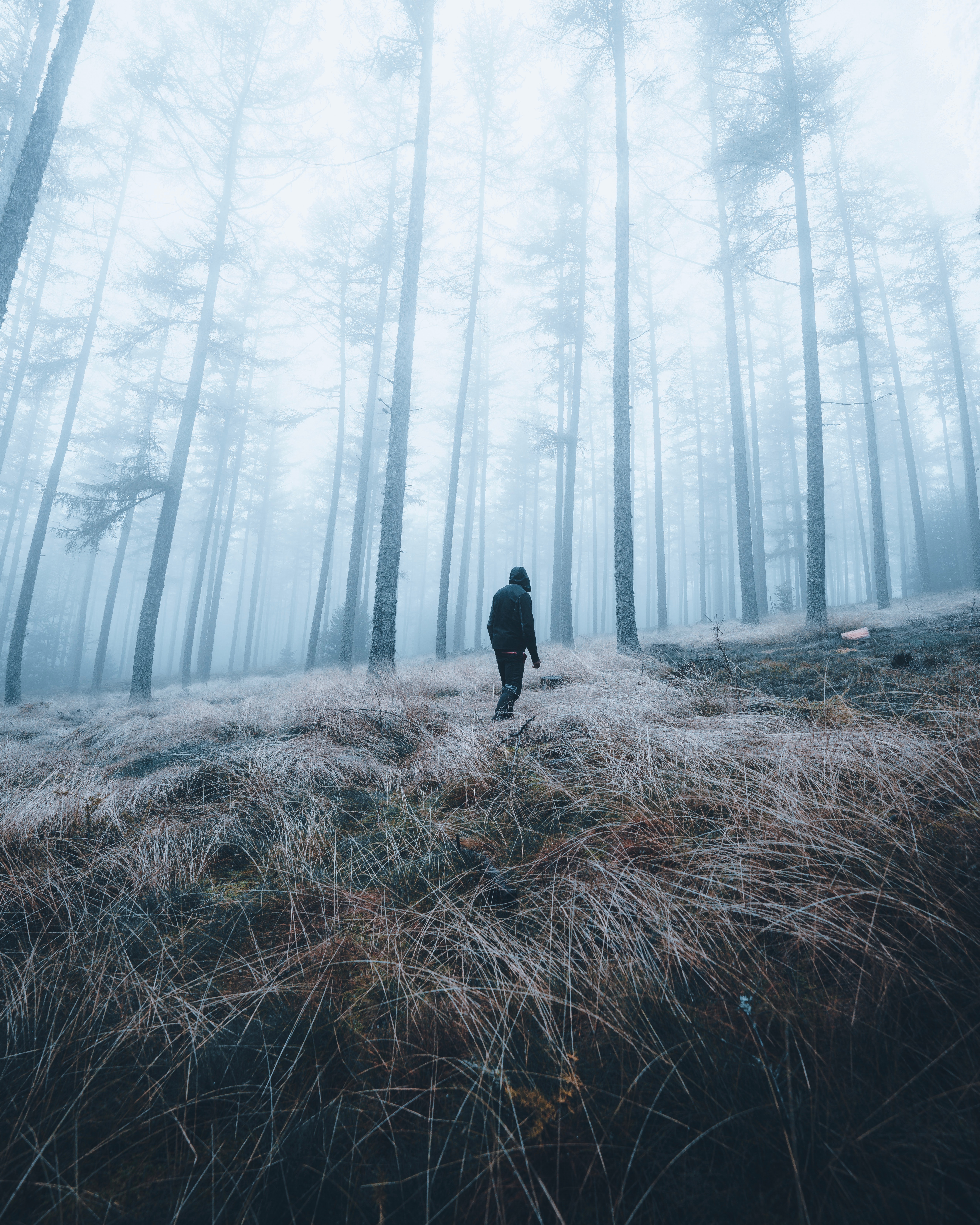 Download mobile wallpaper Fog, Miscellaneous, Miscellanea, Forest, Person, Nature, Human, Loneliness for free.