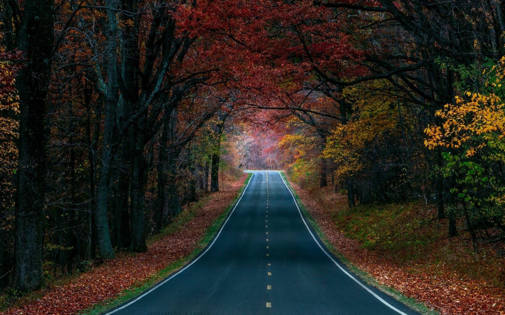 Laden Sie das Herbst, Straße, Wald, Menschengemacht-Bild kostenlos auf Ihren PC-Desktop herunter