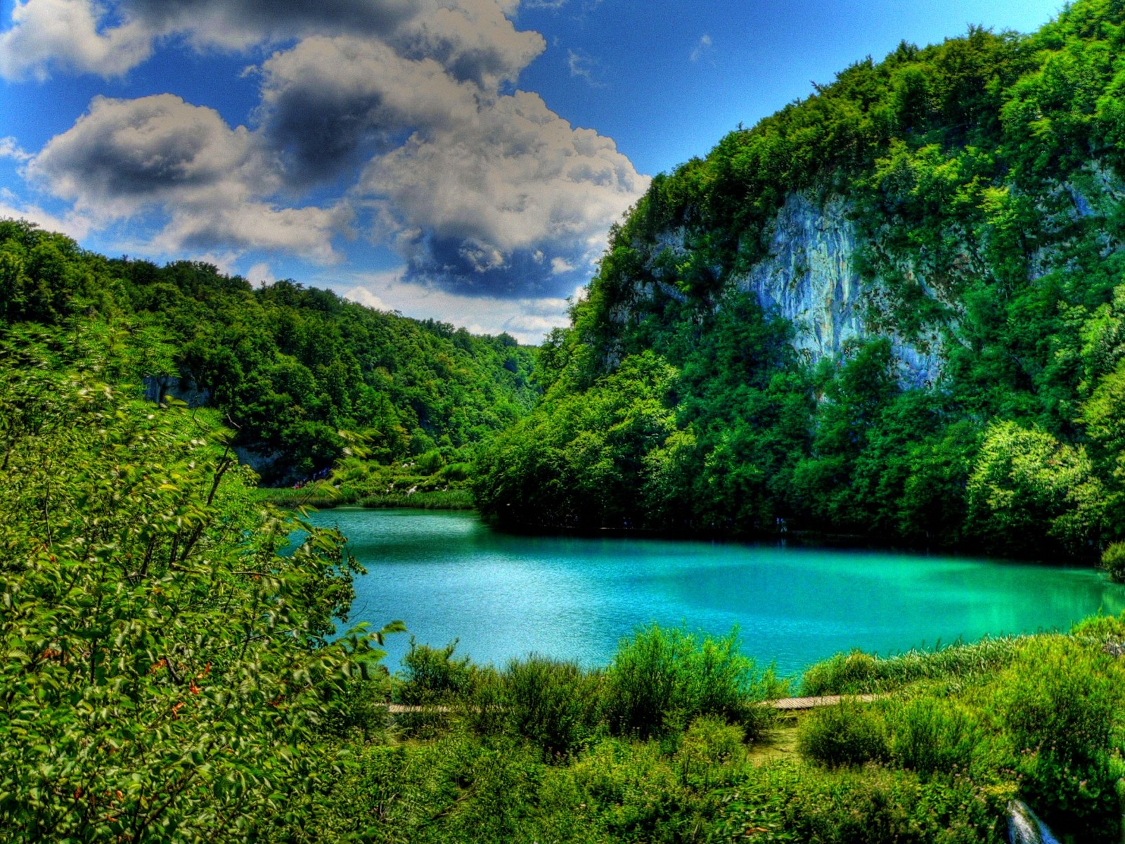 Скачать картинку Озера, Озеро, Лес, Дерево, Зеленый, Бирюзовый, Хорватия, Земля/природа в телефон бесплатно.