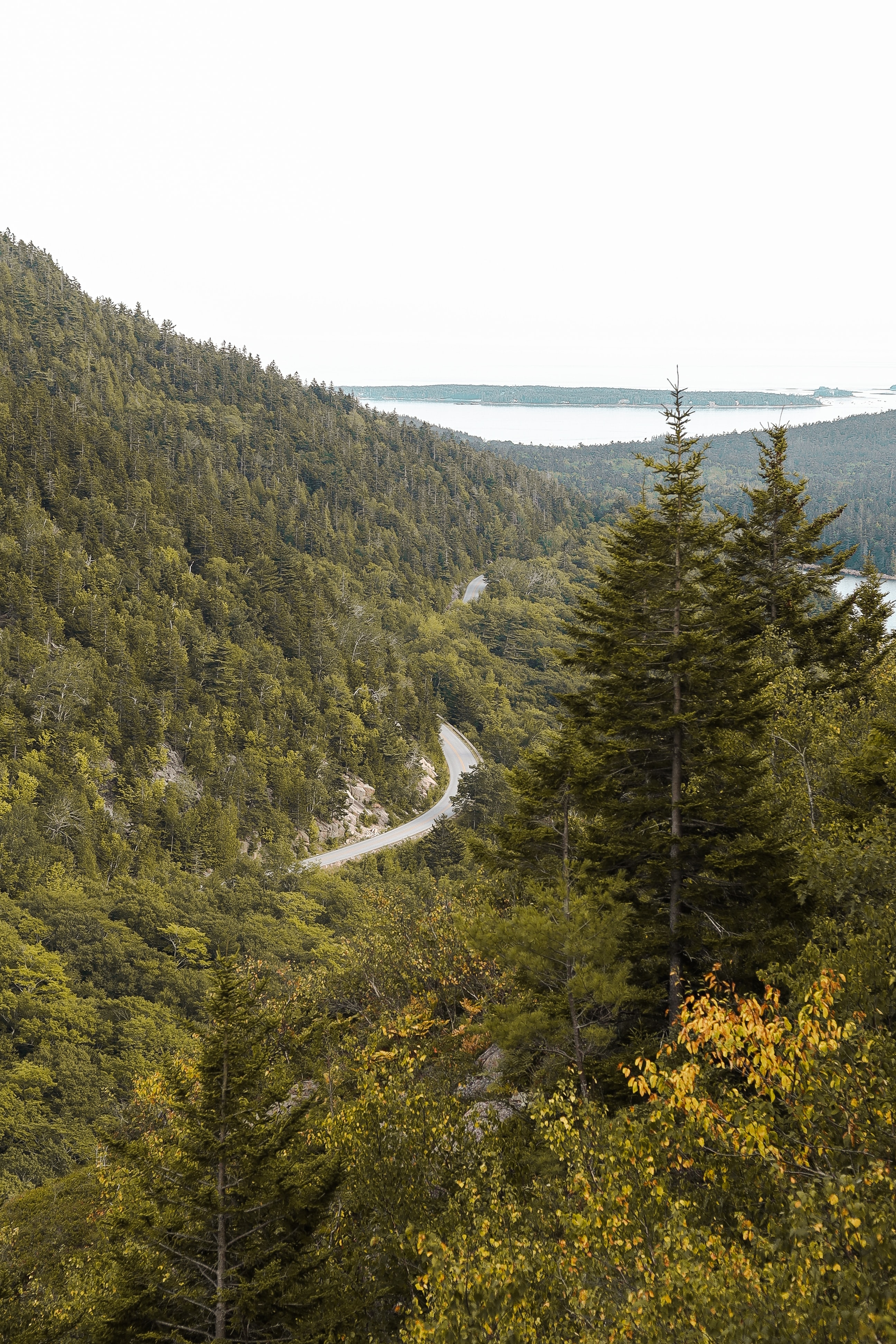 Free download wallpaper Slope, Gorzinot, Road, Forest, Nature, Trees on your PC desktop