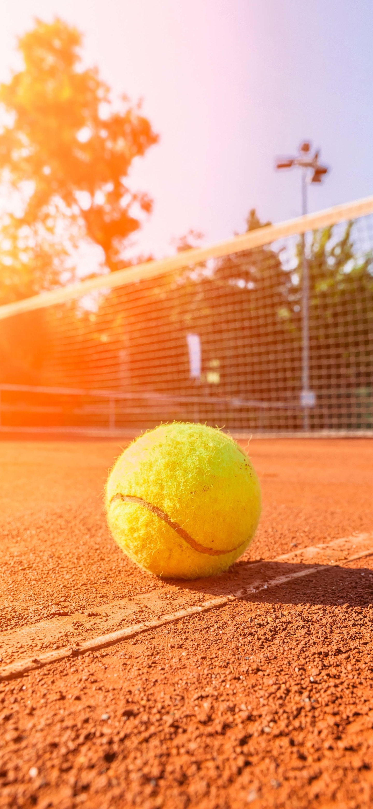 Laden Sie das Sport, Tennis, Ball-Bild kostenlos auf Ihren PC-Desktop herunter