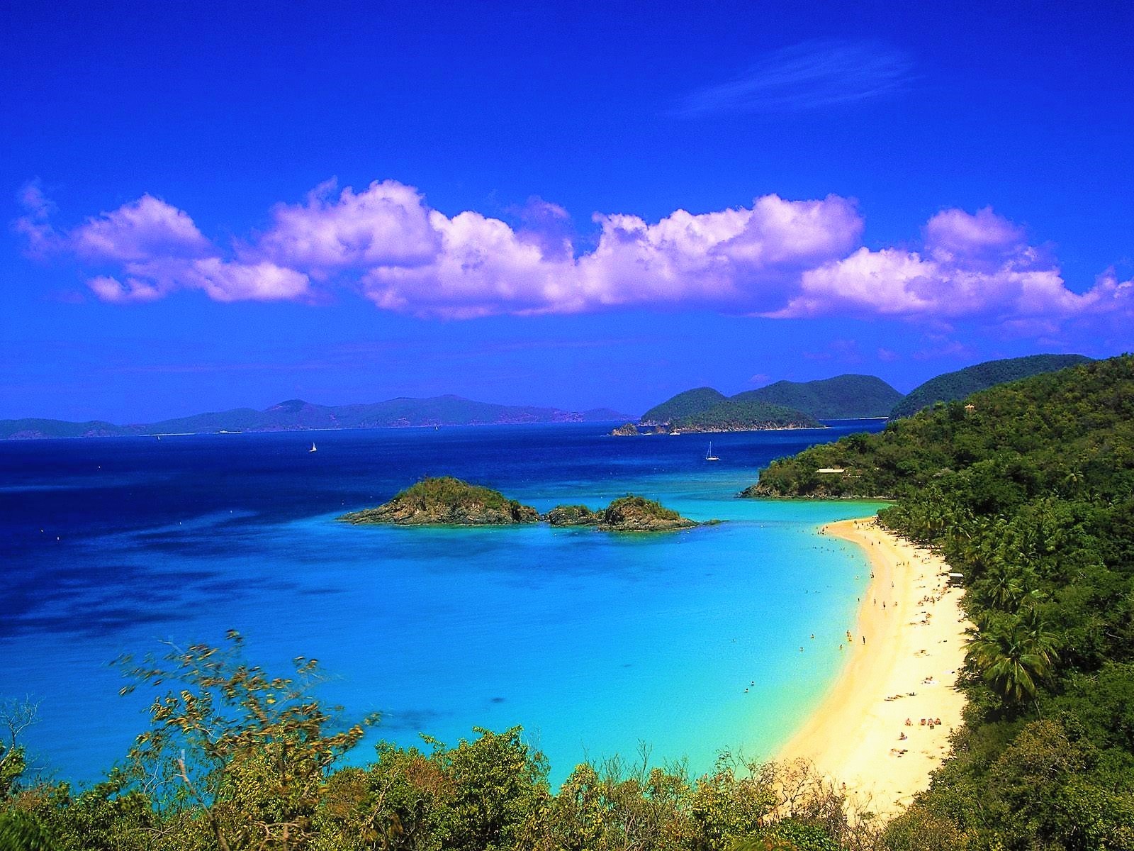 Download mobile wallpaper Sea, Beach, Forest, Ocean, Earth, Tropical, U S Virgin Islands for free.