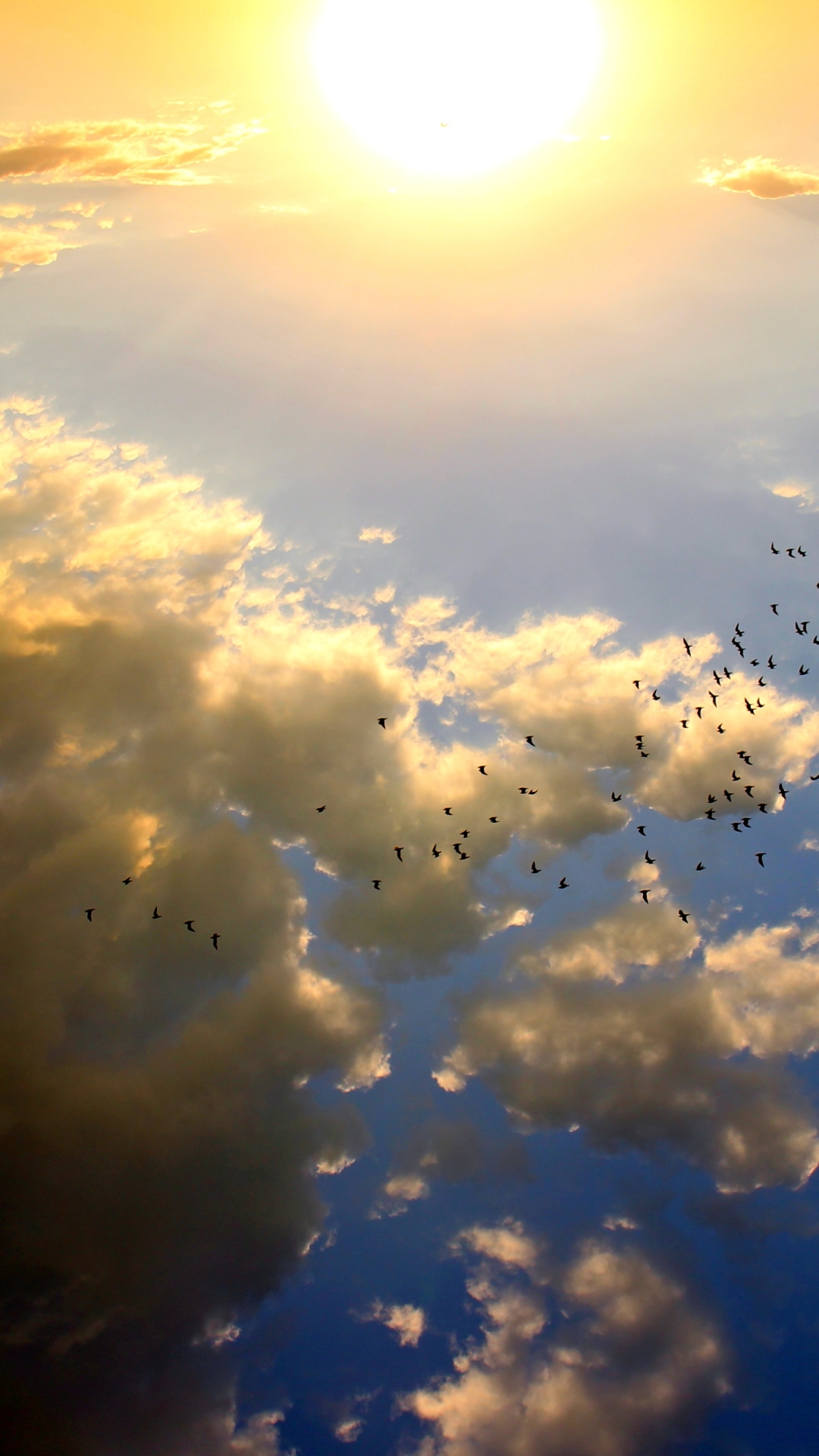 Download mobile wallpaper Sky, Sun, Bird, Earth, Cloud, Aerial, Flock Of Birds for free.