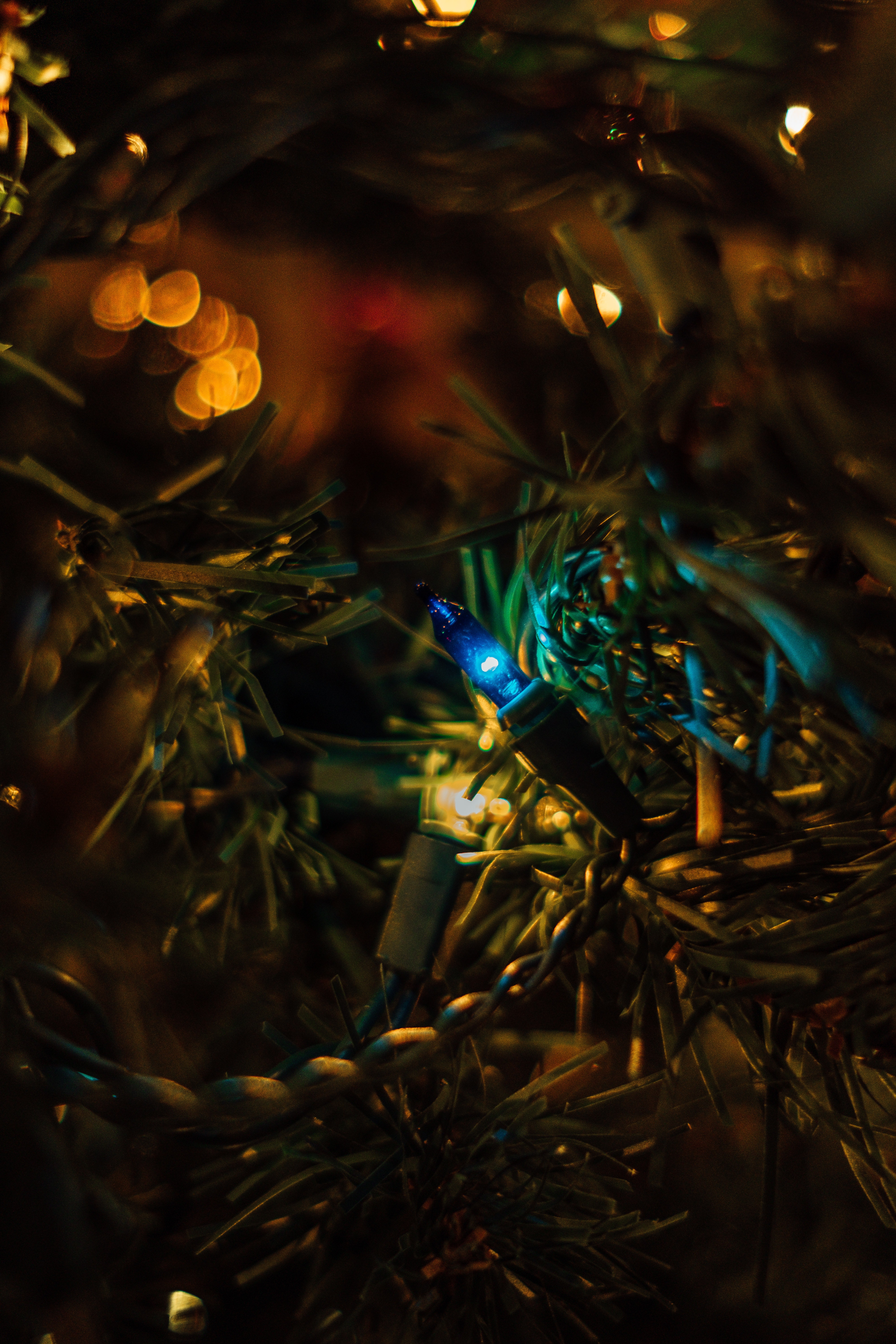 boquet, holidays, new year, glare, christmas, christmas tree, garland, bokeh