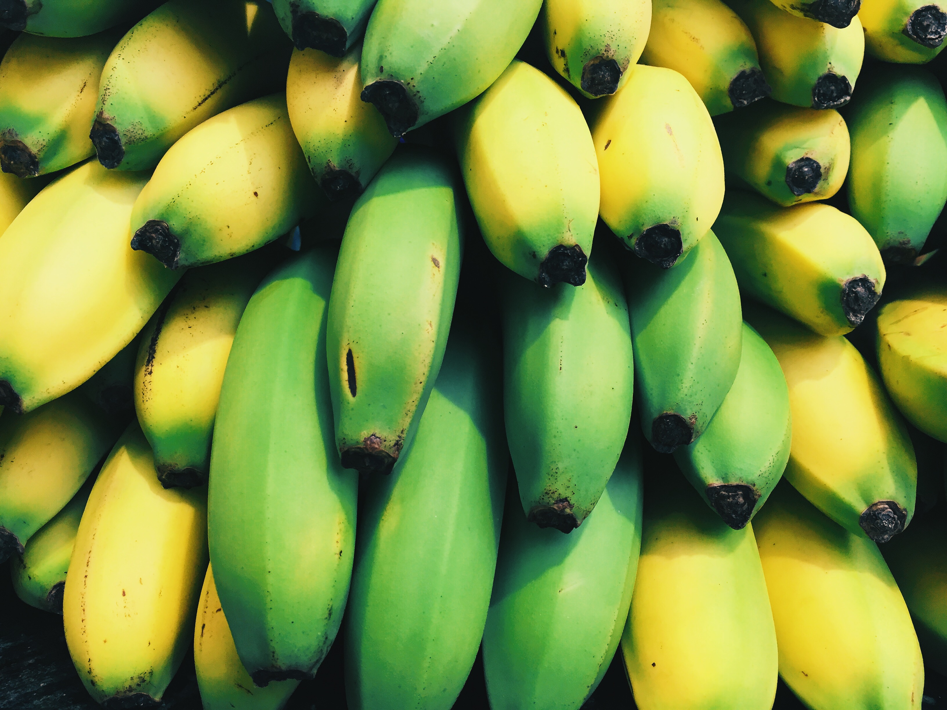 158032 descargar imagen frutas, comida, plátanos, fruta: fondos de pantalla y protectores de pantalla gratis