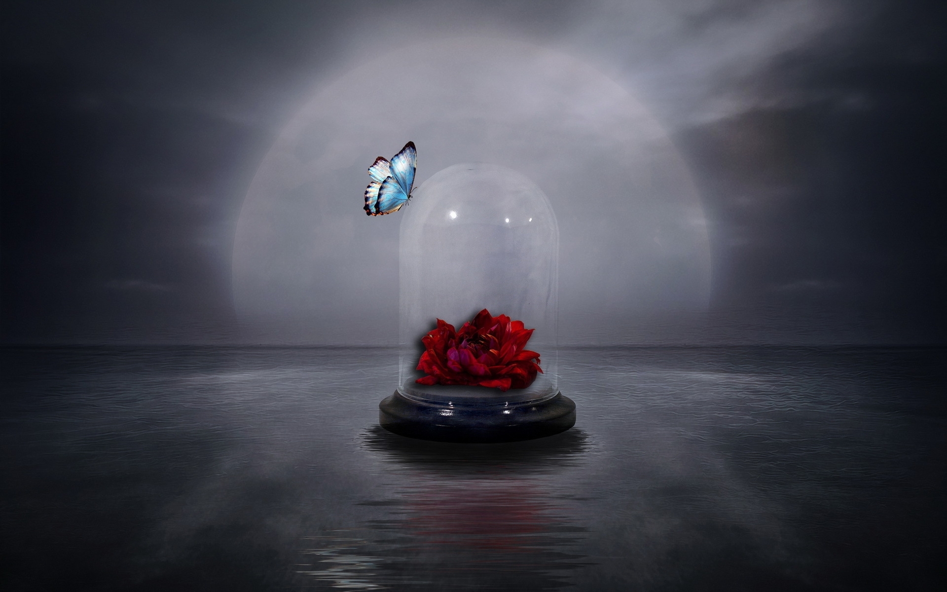 Download mobile wallpaper Rose, Glass, Butterfly, Jar, Artistic, Red Rose for free.