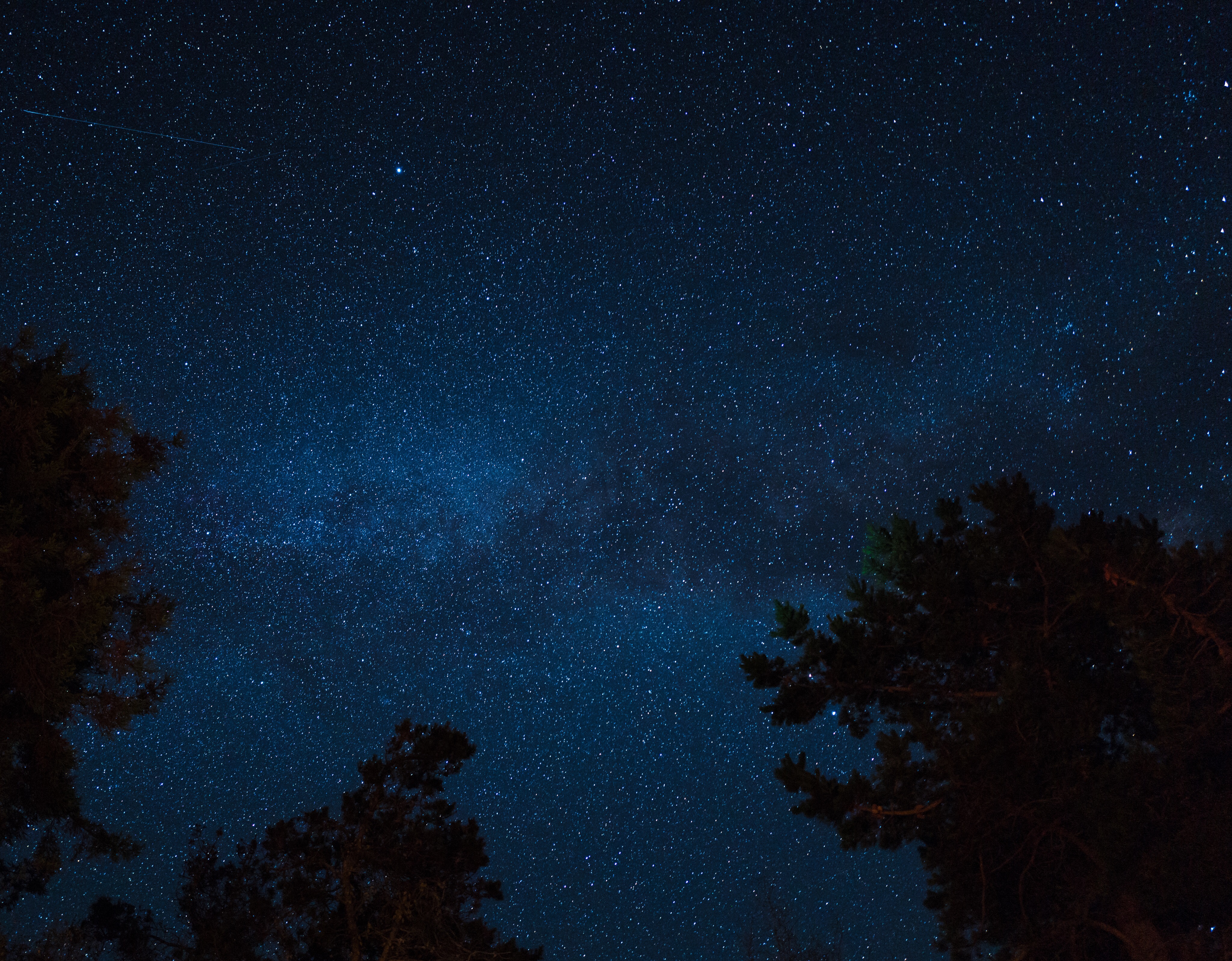 145616 descargar imagen cielo estrellado, árboles, universo, estrellas, noche: fondos de pantalla y protectores de pantalla gratis