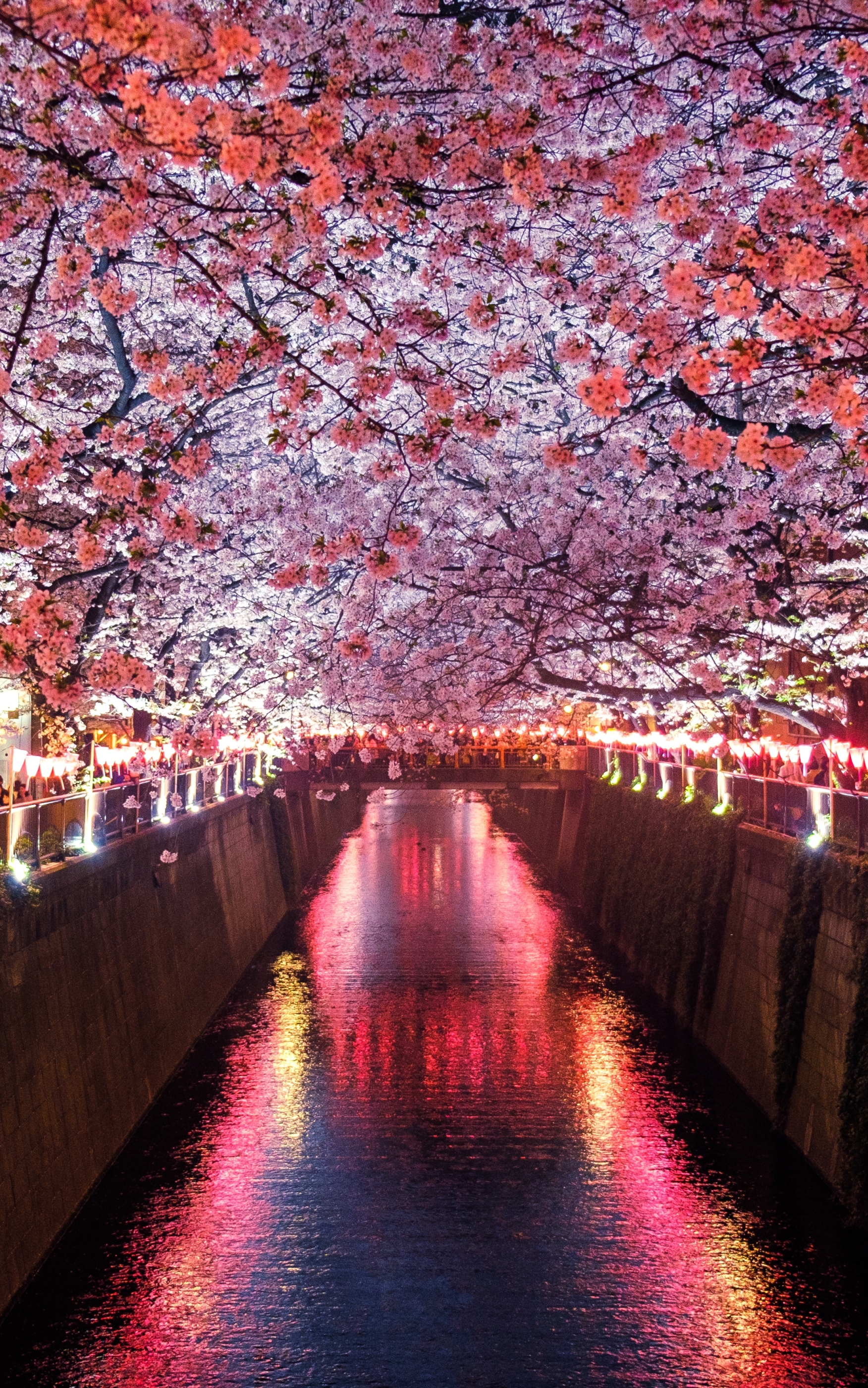Download mobile wallpaper Sakura, Flower, Spring, Cherry Blossom, Man Made, Canal for free.