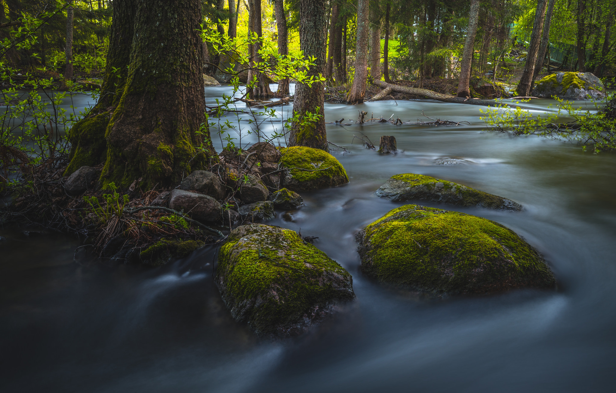 Free download wallpaper Nature, Earth, Moss, River on your PC desktop