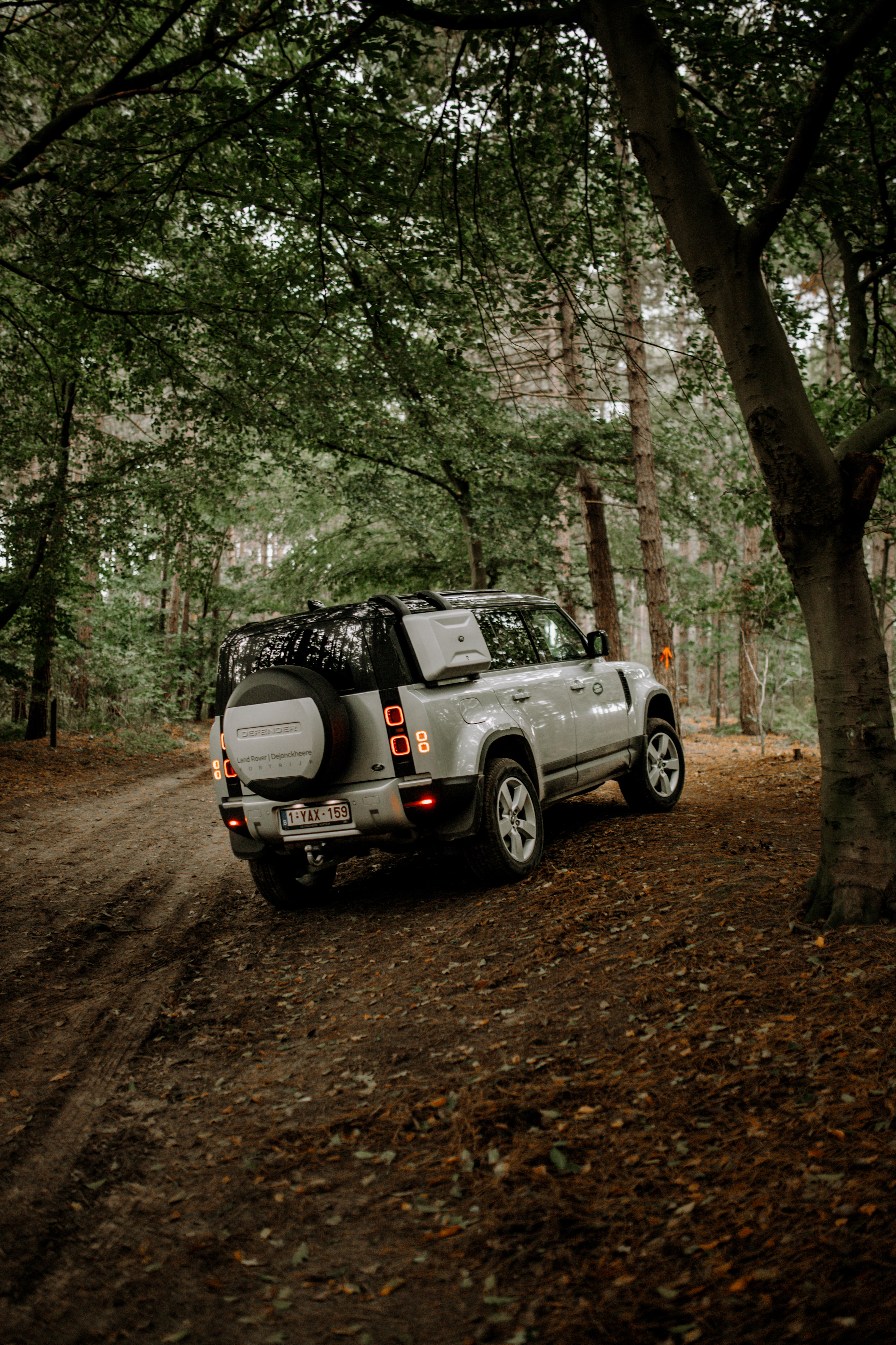 land rover, suv, rear view, cars, forest, car, back view HD wallpaper
