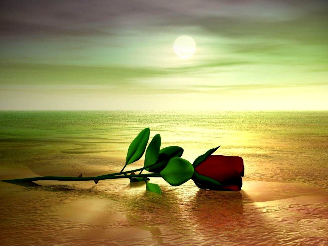 Free download wallpaper Rose, Artistic on your PC desktop