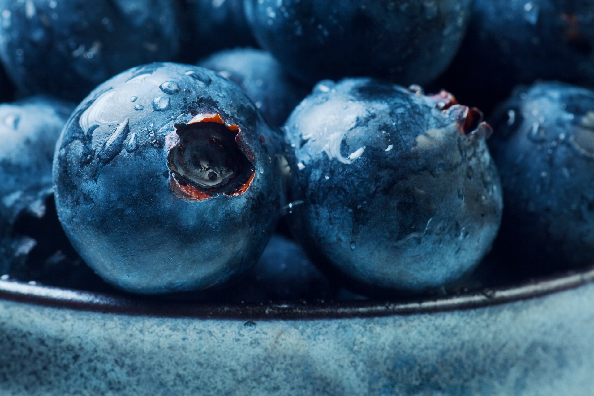 Free download wallpaper Food, Blueberry, Macro, Berry, Fruit on your PC desktop