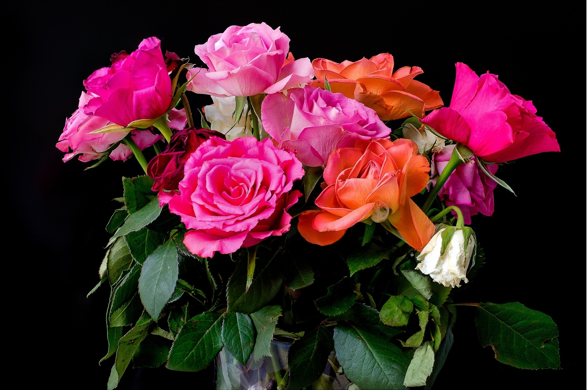 Скачать обои бесплатно Цветок, Роза, Цвета, Ваза, Красочный, Сделано Человеком, Розовый Цветок, Оранжевый Цветок картинка на рабочий стол ПК