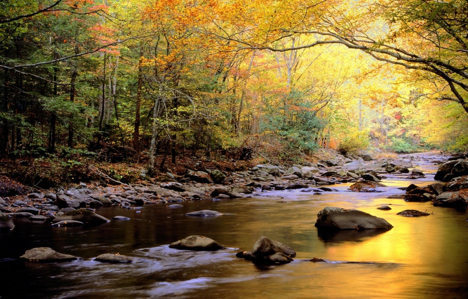 Download mobile wallpaper Rivers, Landscape, Nature for free.