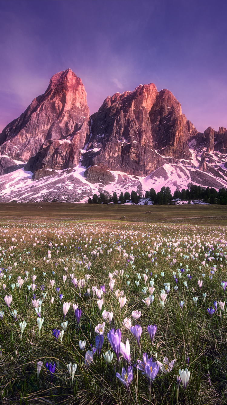 Download mobile wallpaper Landscape, Nature, Grass, Mountain, Flower, Earth, Cliff for free.