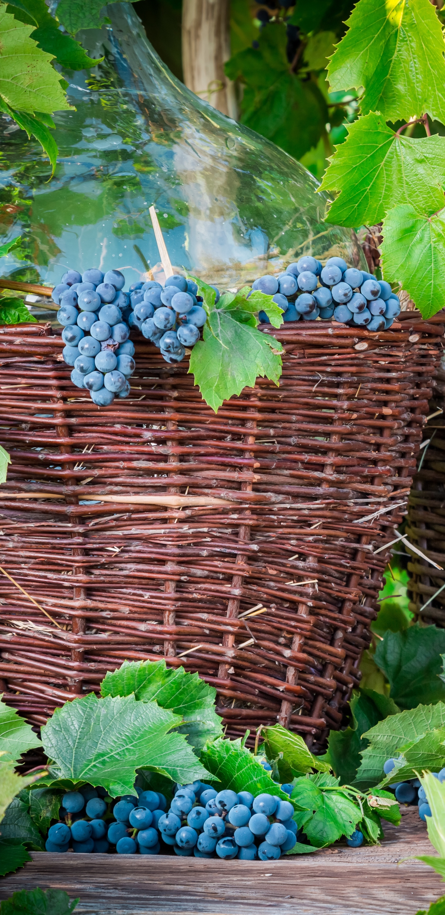 Download mobile wallpaper Food, Grapes, Still Life, Fruit for free.