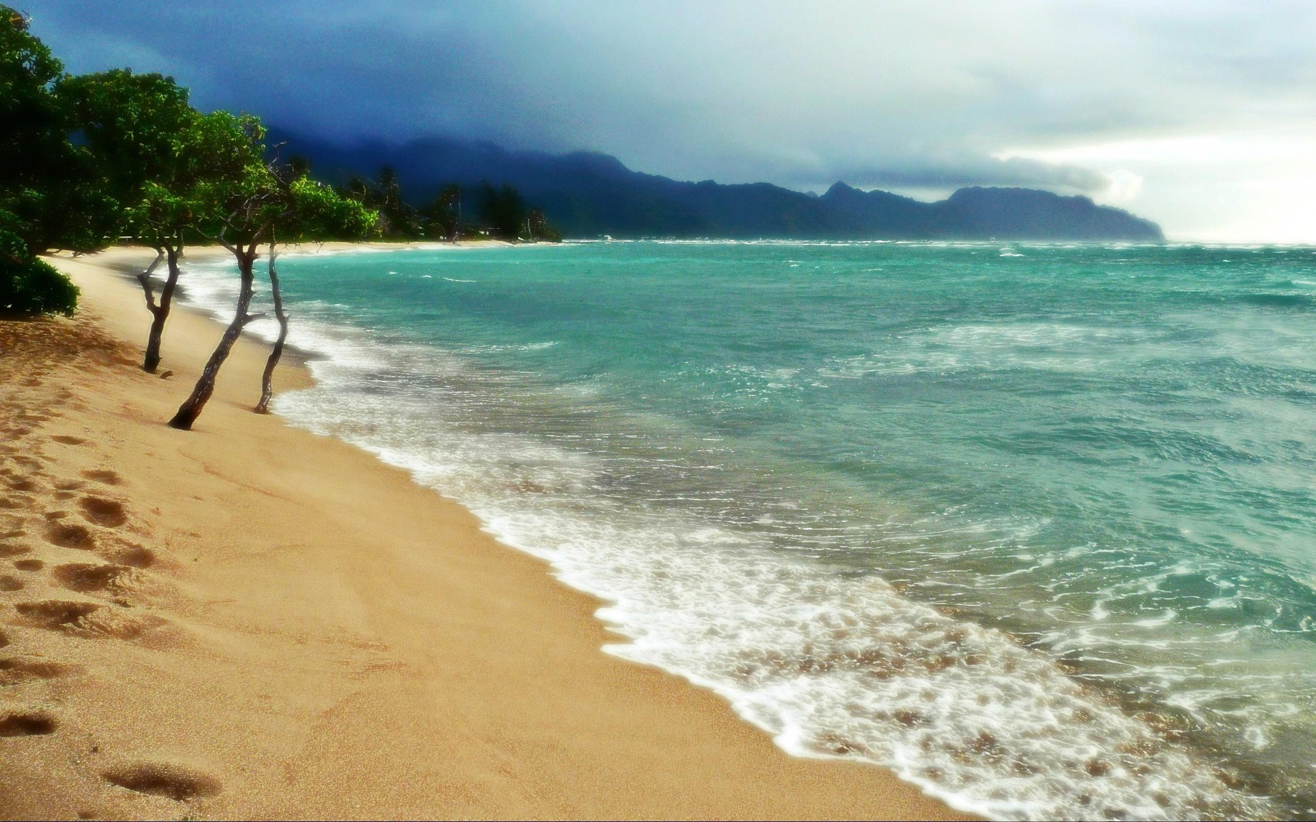 Скачать картинку Море, Пляж, Пальмы, Туман, Океан, Тропический, Земля/природа в телефон бесплатно.