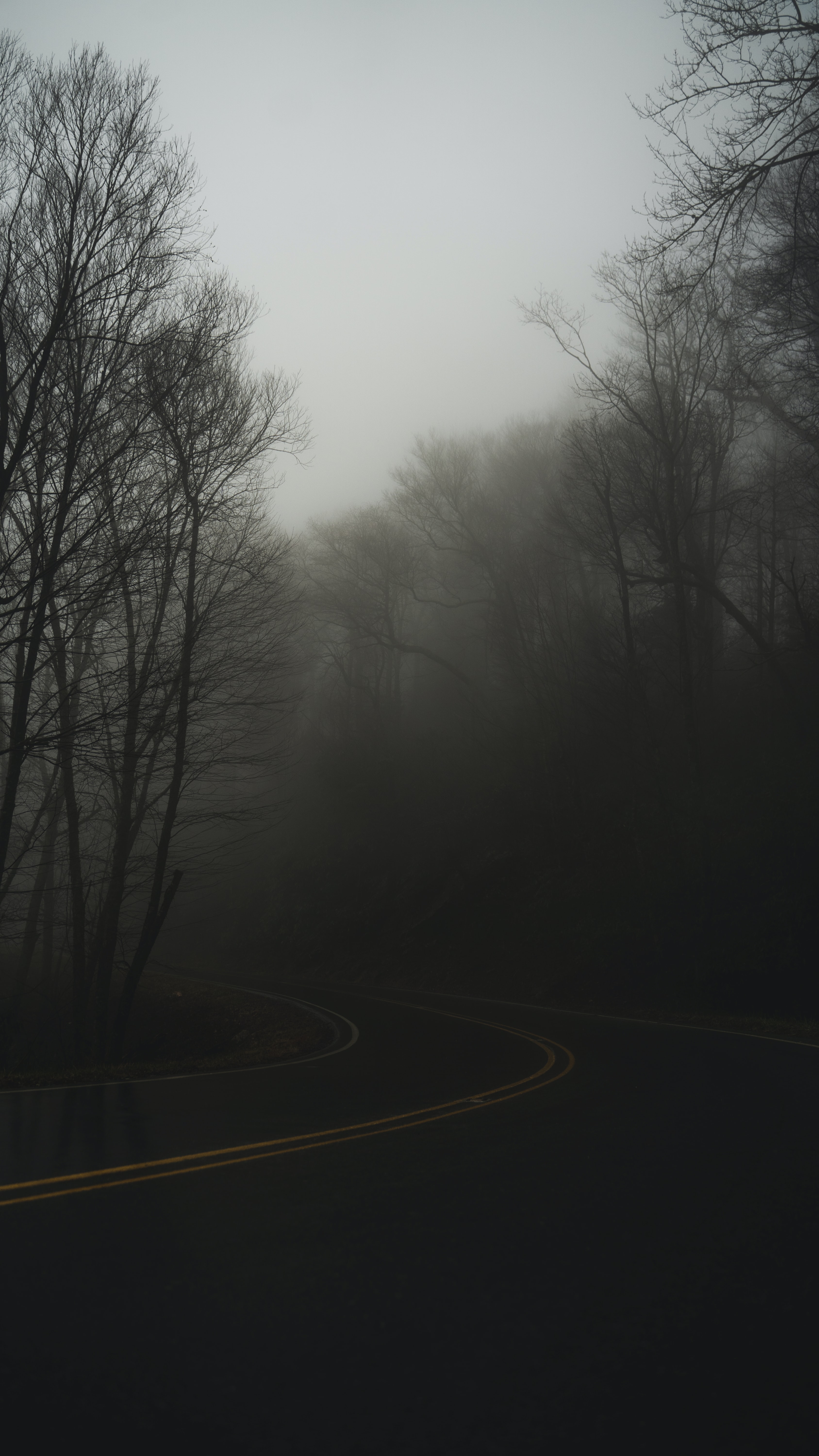 turn, nature, twilight, road, fog, dusk, haze cellphone