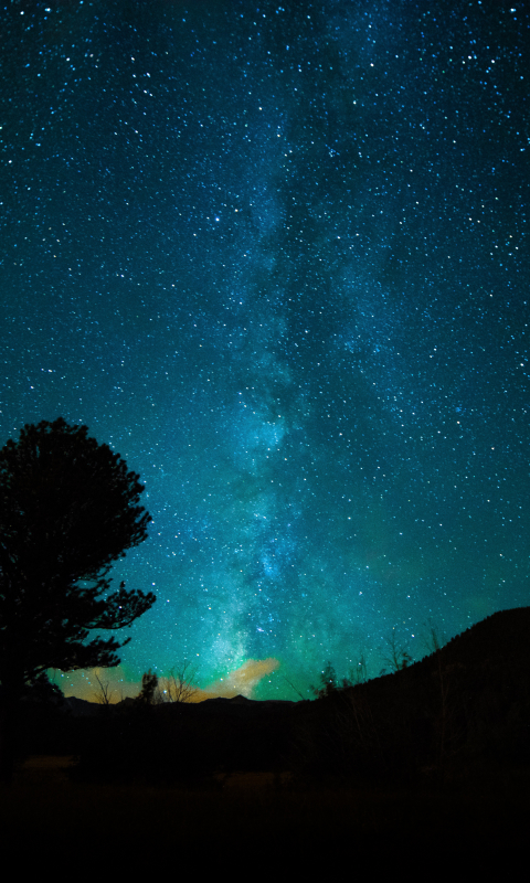 Download mobile wallpaper Nature, Stars, Night, Silhouette, Starry Sky, Milky Way, Sci Fi for free.