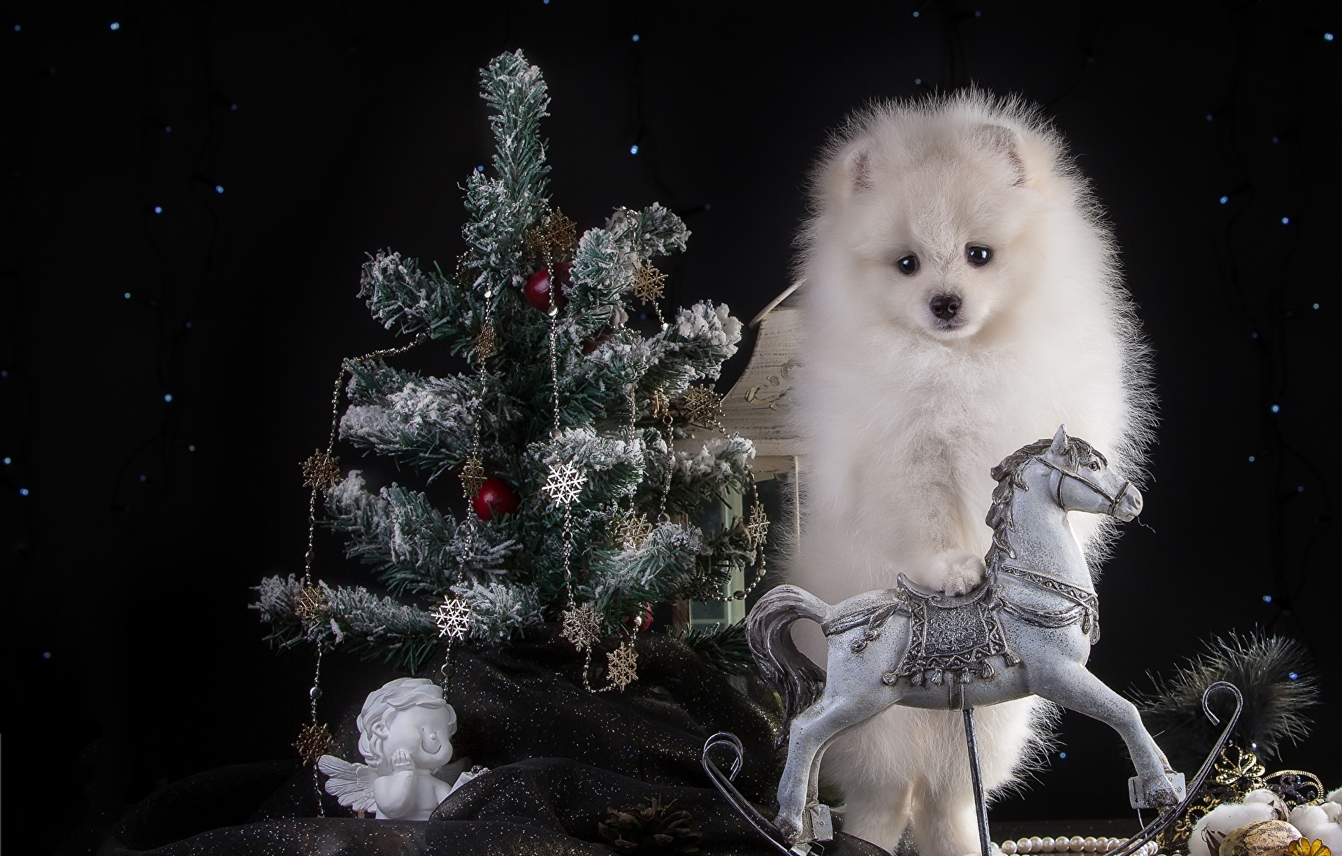 Free download wallpaper Dogs, Dog, Christmas, Holiday, Animal, Christmas Tree, Pomeranian on your PC desktop