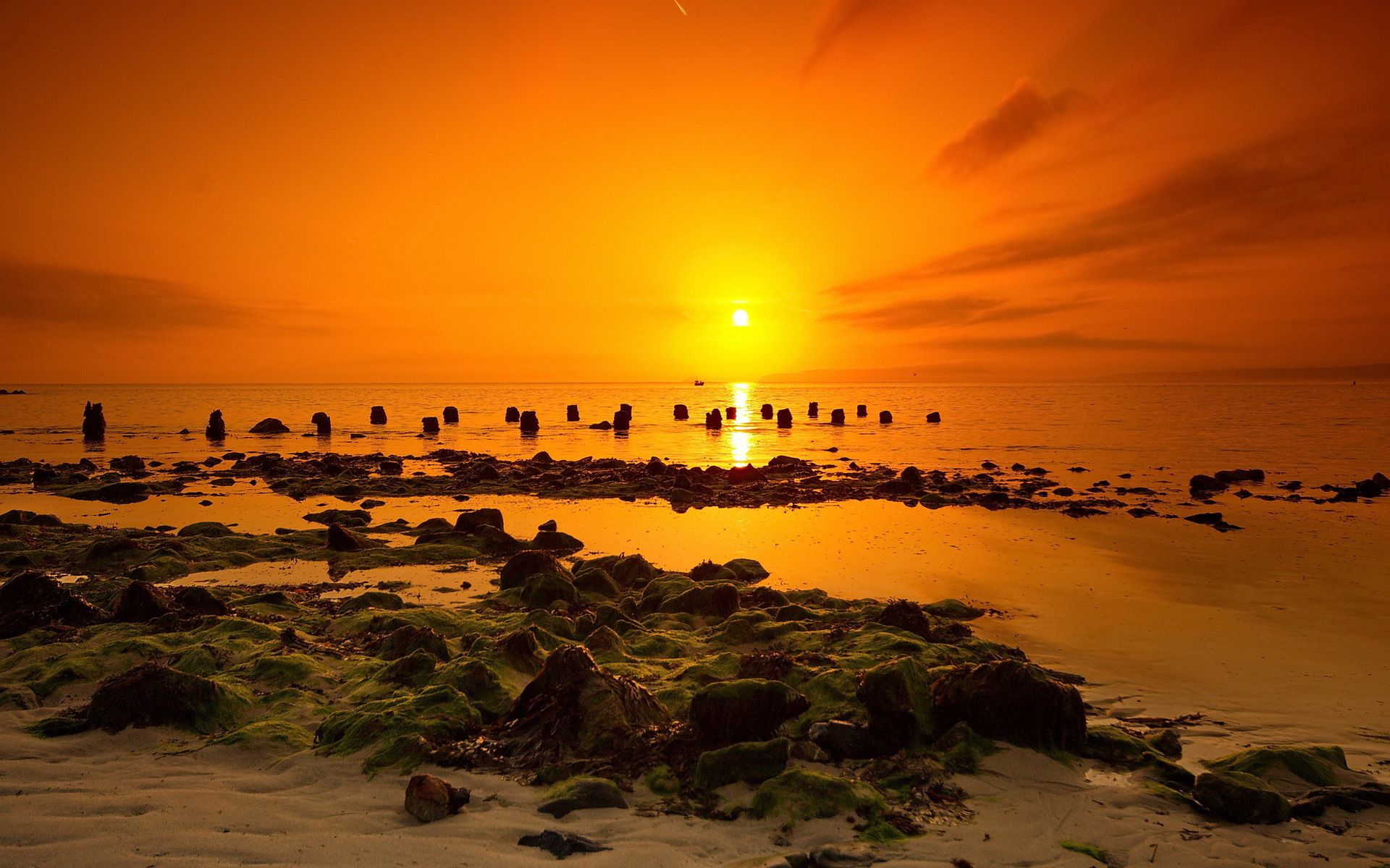 PCデスクトップに日没, 自然, 海, 風景画像を無料でダウンロード