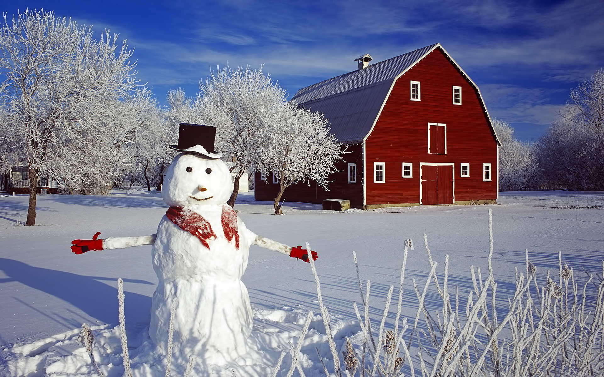 44668 скачать картинку снеговики, пейзаж, дома, снег - обои и заставки бесплатно