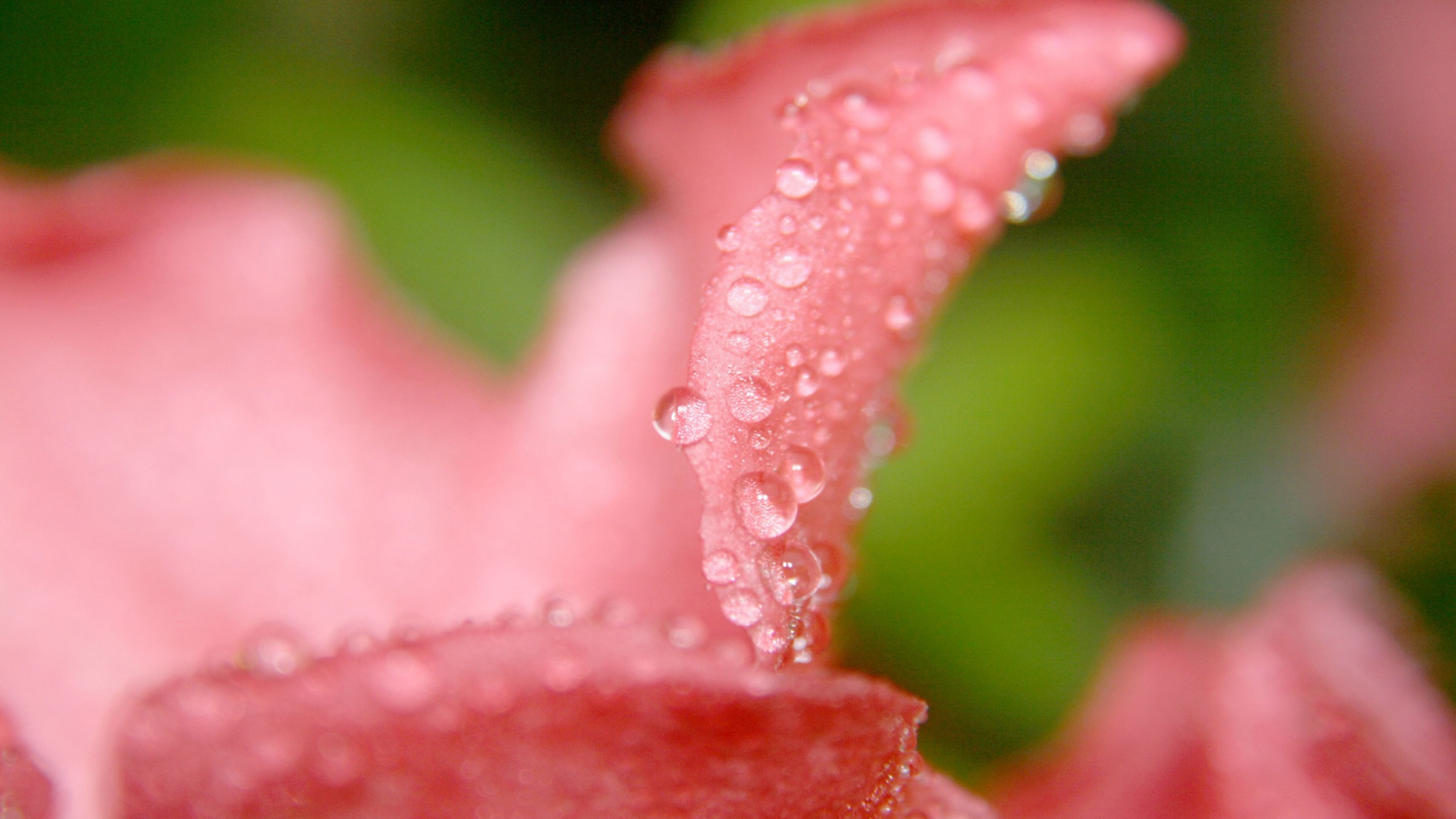 Téléchargez gratuitement l'image Terre/nature, Goutte D'eau sur le bureau de votre PC