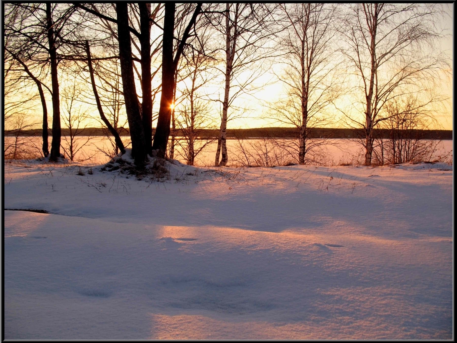 PCデスクトップに冬, 日没, 木, 風景画像を無料でダウンロード