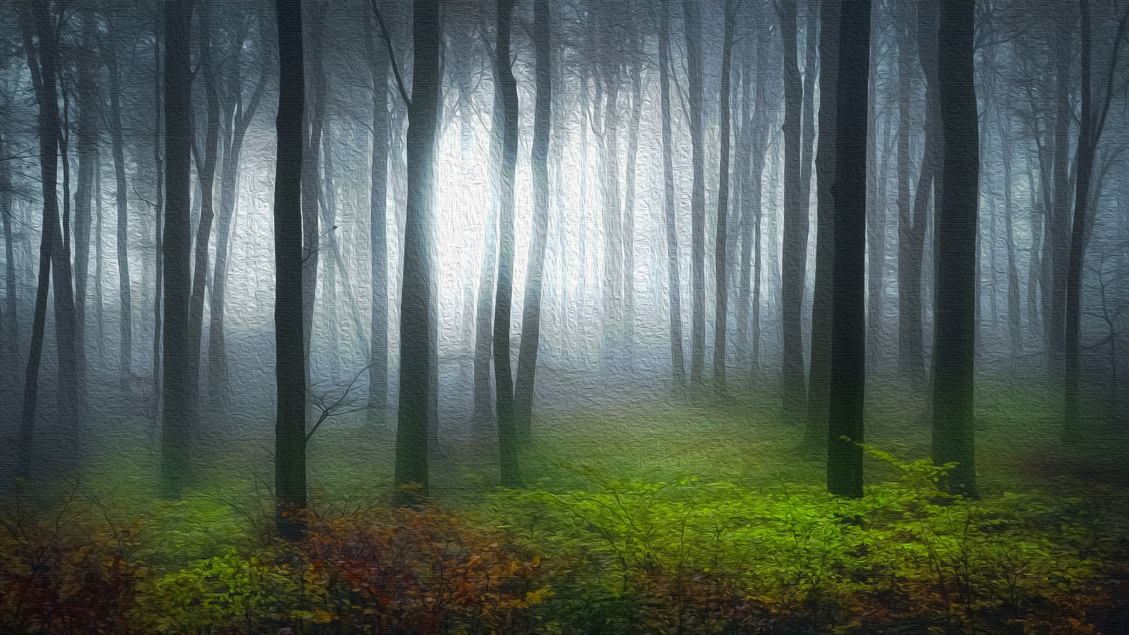 Téléchargez gratuitement l'image Forêt, Arbre, Artistique sur le bureau de votre PC