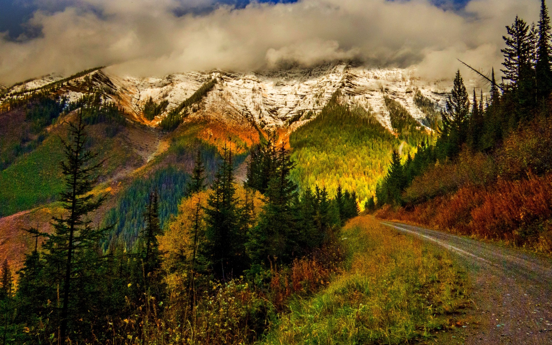 Laden Sie das Herbst, Straße, Wald, Baum, Gebirge, Menschengemacht-Bild kostenlos auf Ihren PC-Desktop herunter
