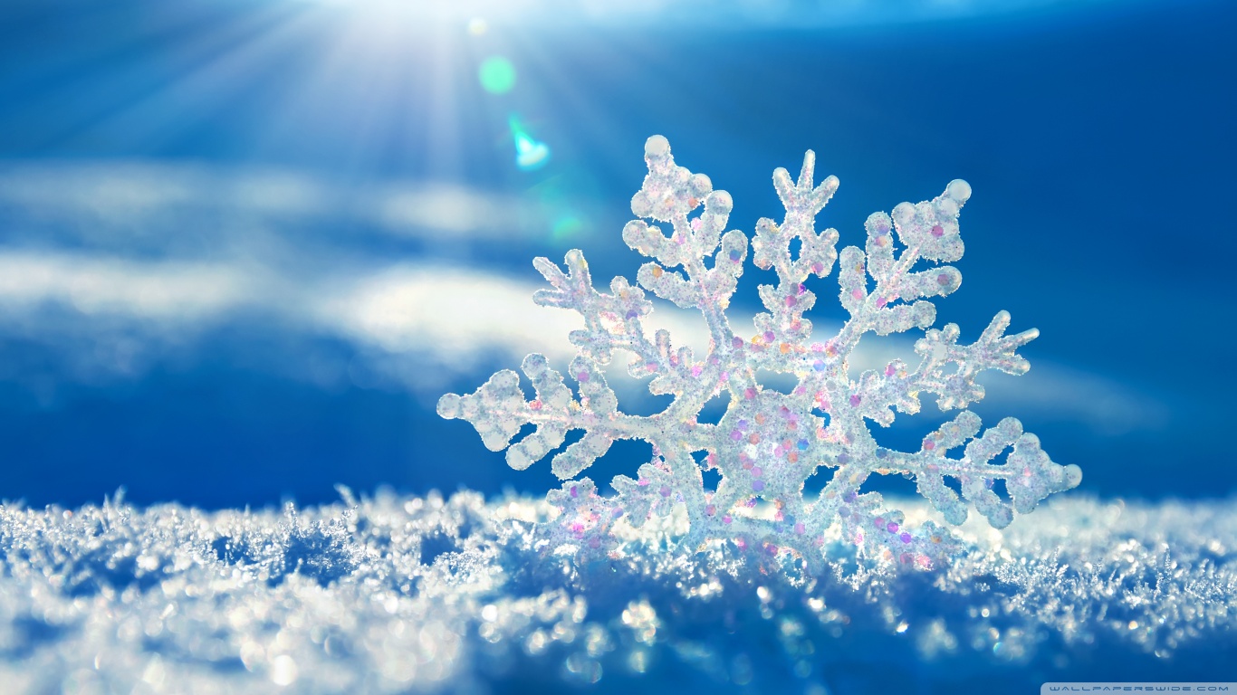 Descarga gratis la imagen Invierno, Copo De Nieve, Tierra/naturaleza en el escritorio de tu PC