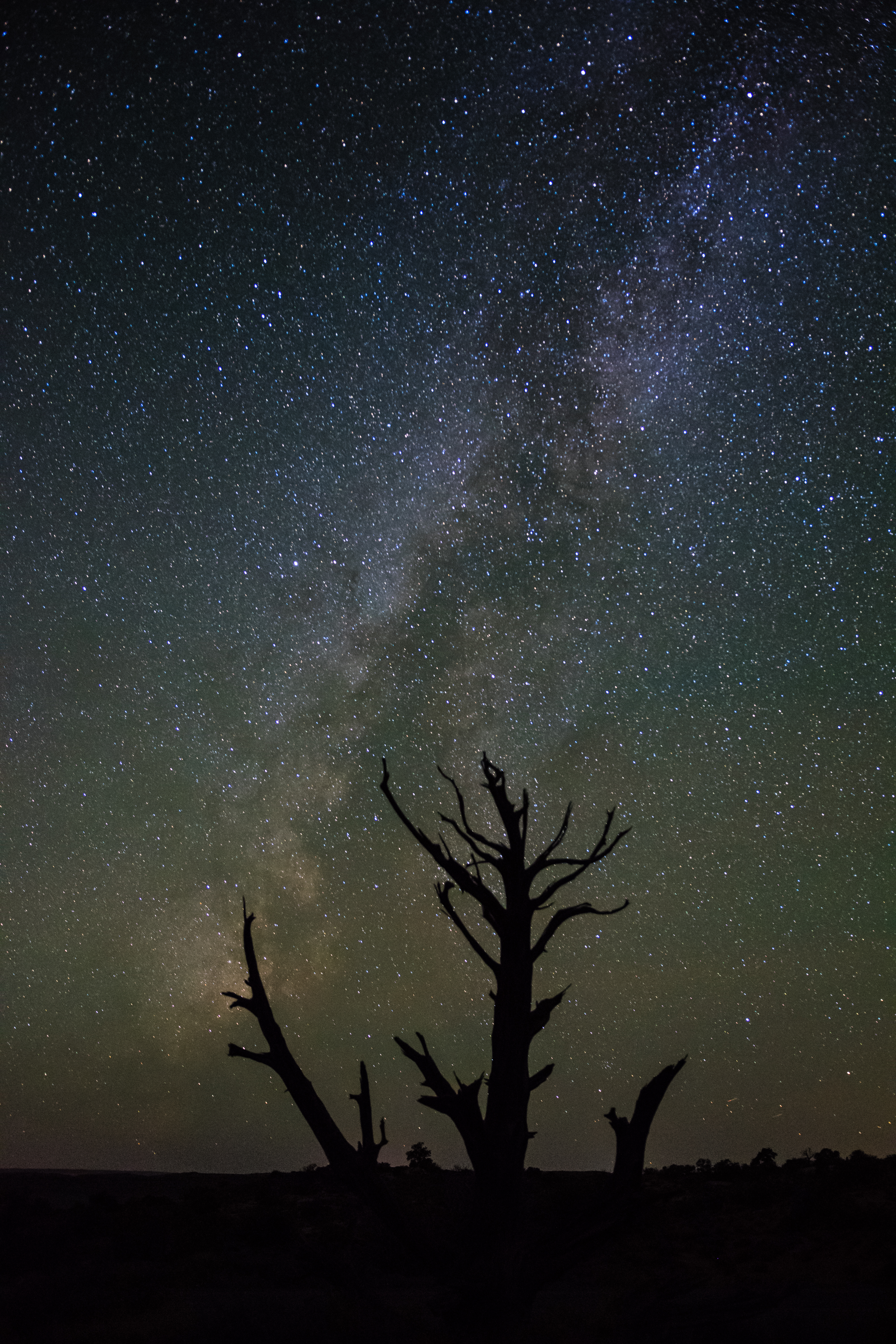 Download mobile wallpaper Trees, Stars, Nature, Starry Sky, Night, Silhouettes for free.