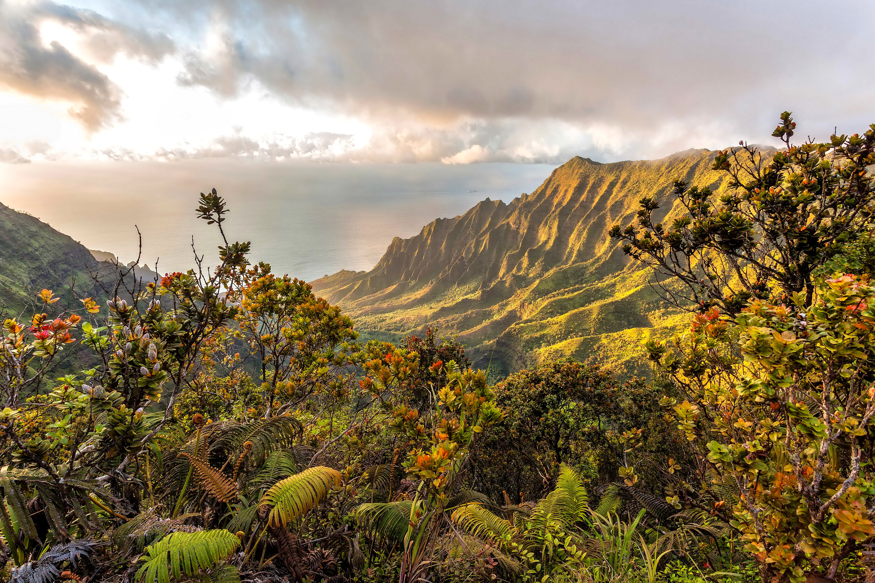 Handy-Wallpaper Landschaft, Natur, Horizont, Gebirge, Hawaii, Erde/natur kostenlos herunterladen.