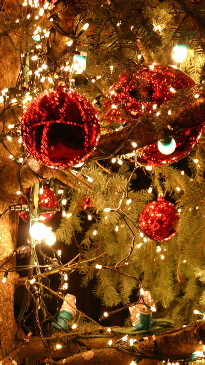 Download mobile wallpaper Light, Christmas, Holiday, Christmas Ornaments, Christmas Lights for free.