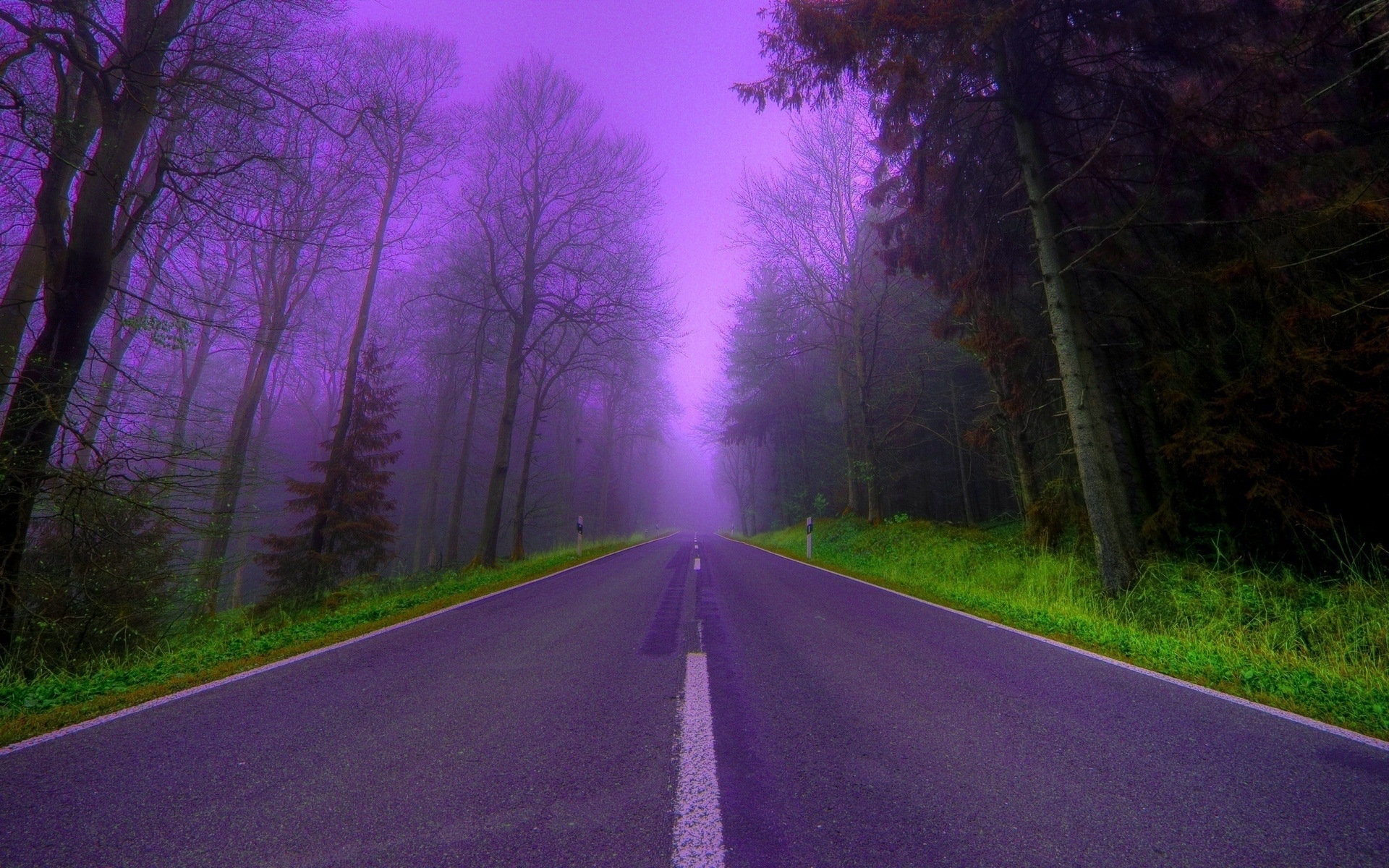landscape, roads, violet