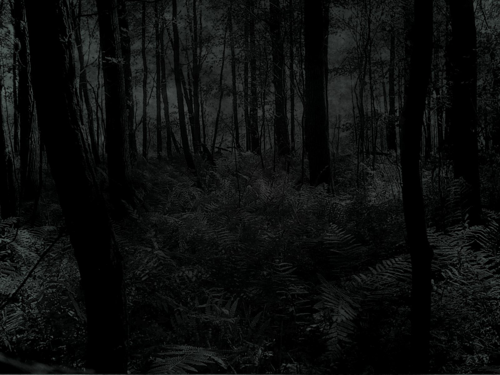 Download mobile wallpaper Forest, Dark for free.