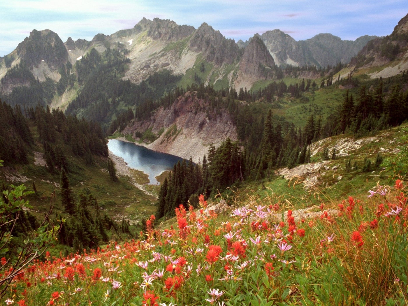 Free download wallpaper Landscape, Flowers, Trees, Mountains on your PC desktop