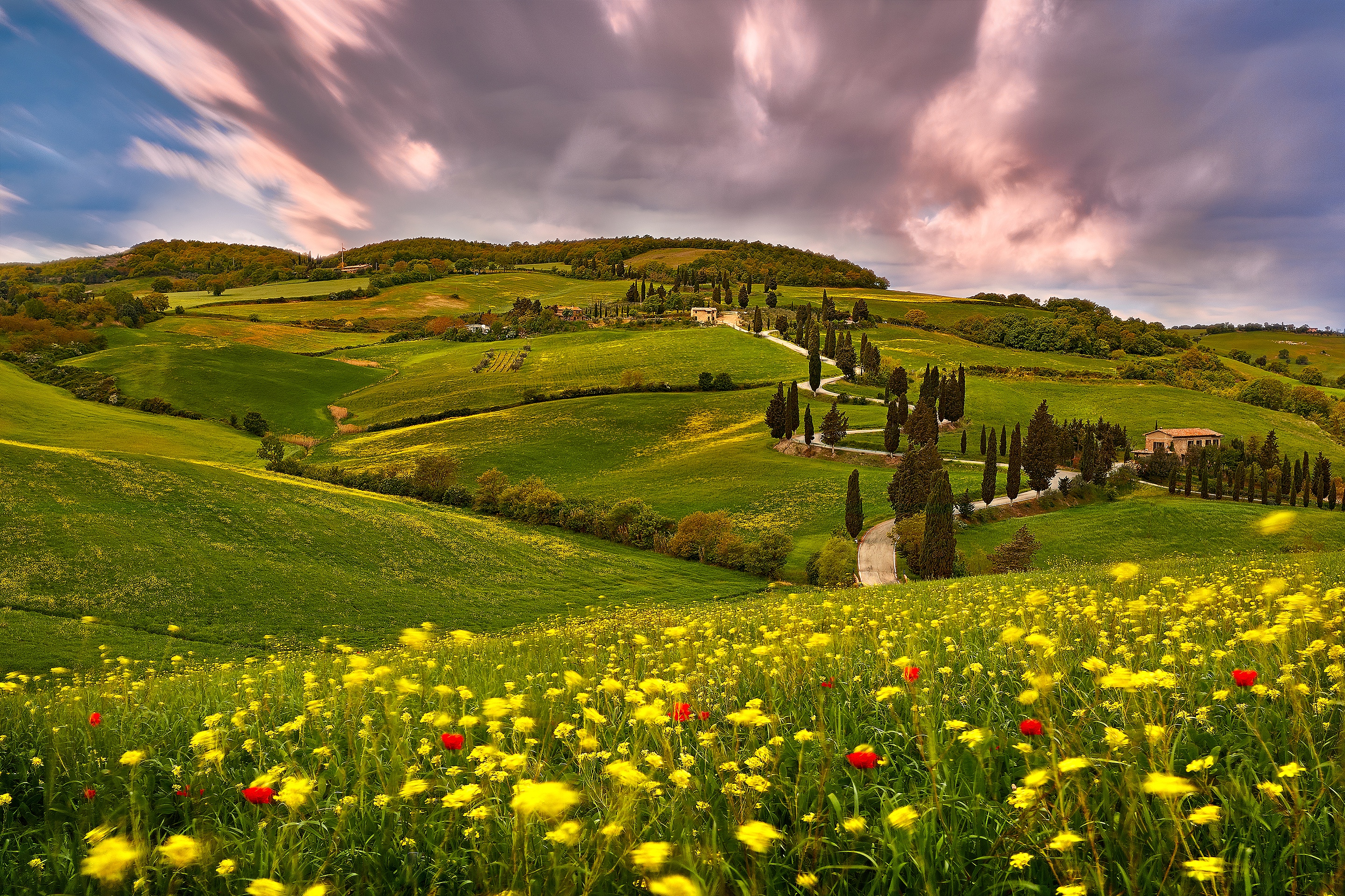 PCデスクトップに夏, イタリア, 花, 丘, 牧草地, 写真撮影, トスカーナ, クラウド画像を無料でダウンロード