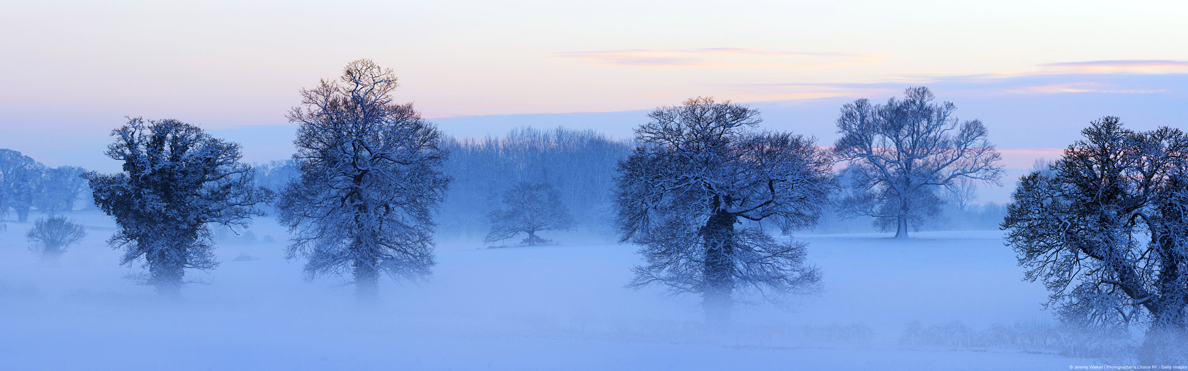 Download mobile wallpaper Winter, Snow, Tree, Fog, Earth for free.