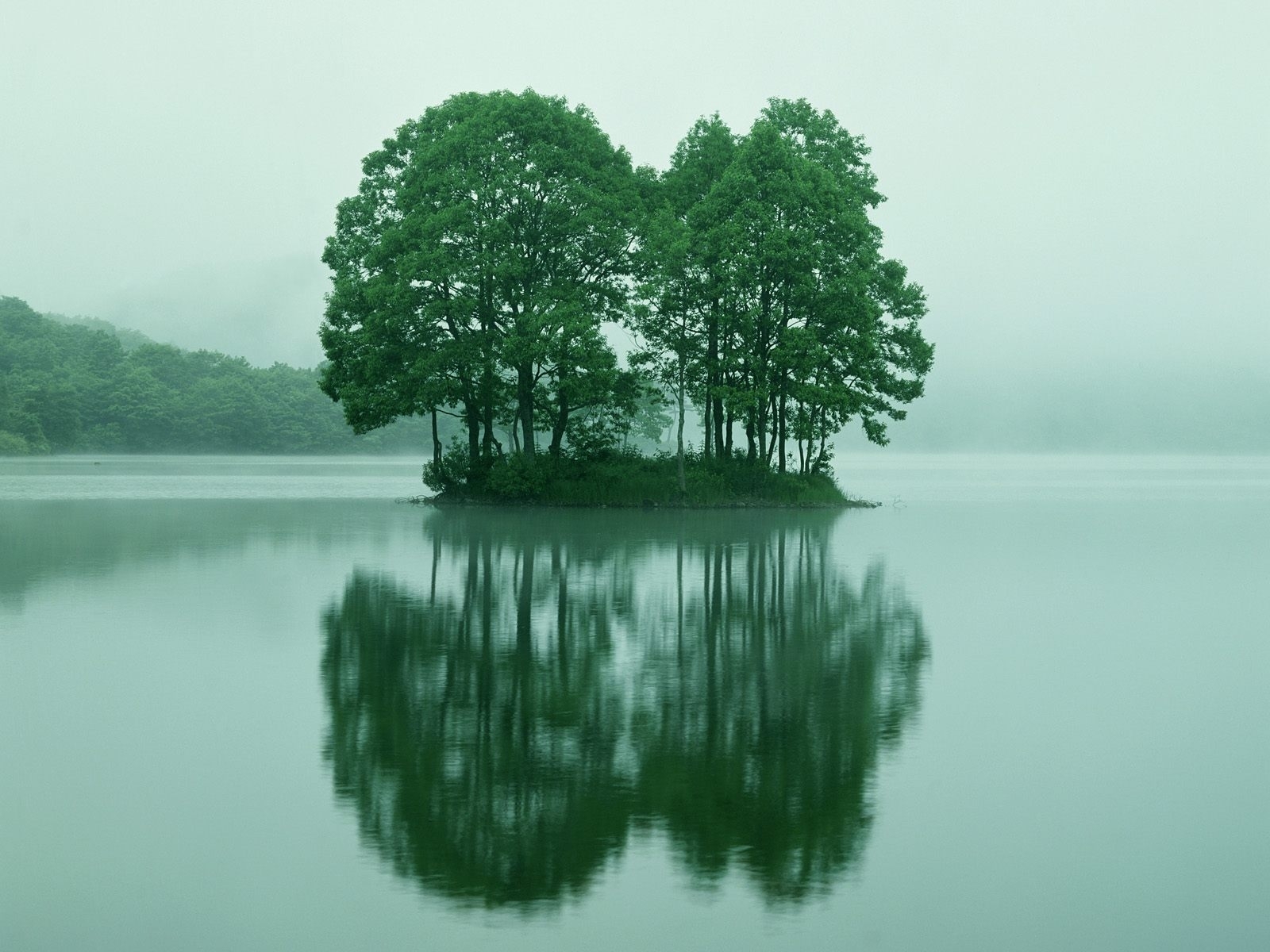 Download mobile wallpaper Trees, Lakes, Landscape for free.