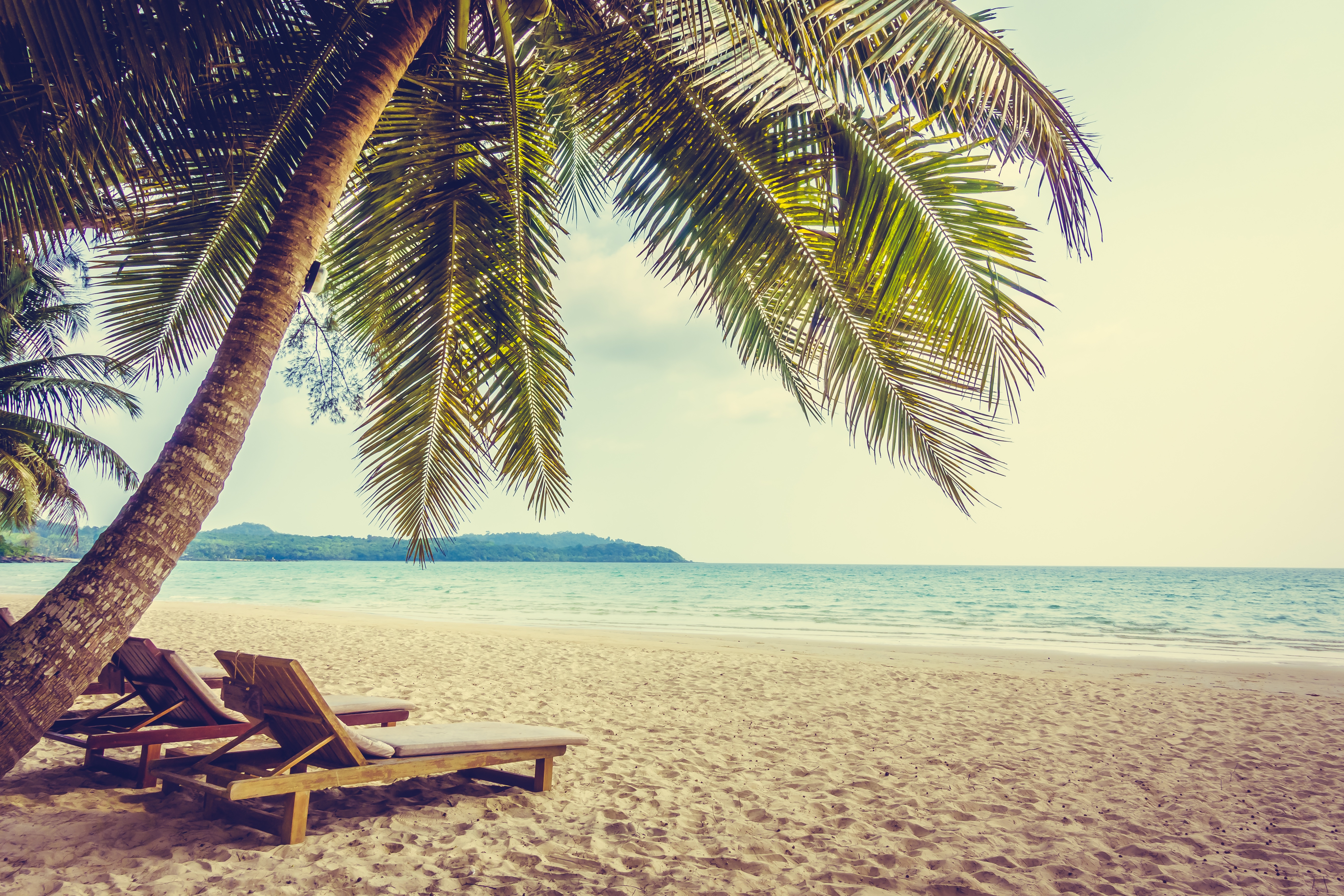 Laden Sie das Strand, Sand, Horizont, Ozean, Palme, Fotografie-Bild kostenlos auf Ihren PC-Desktop herunter