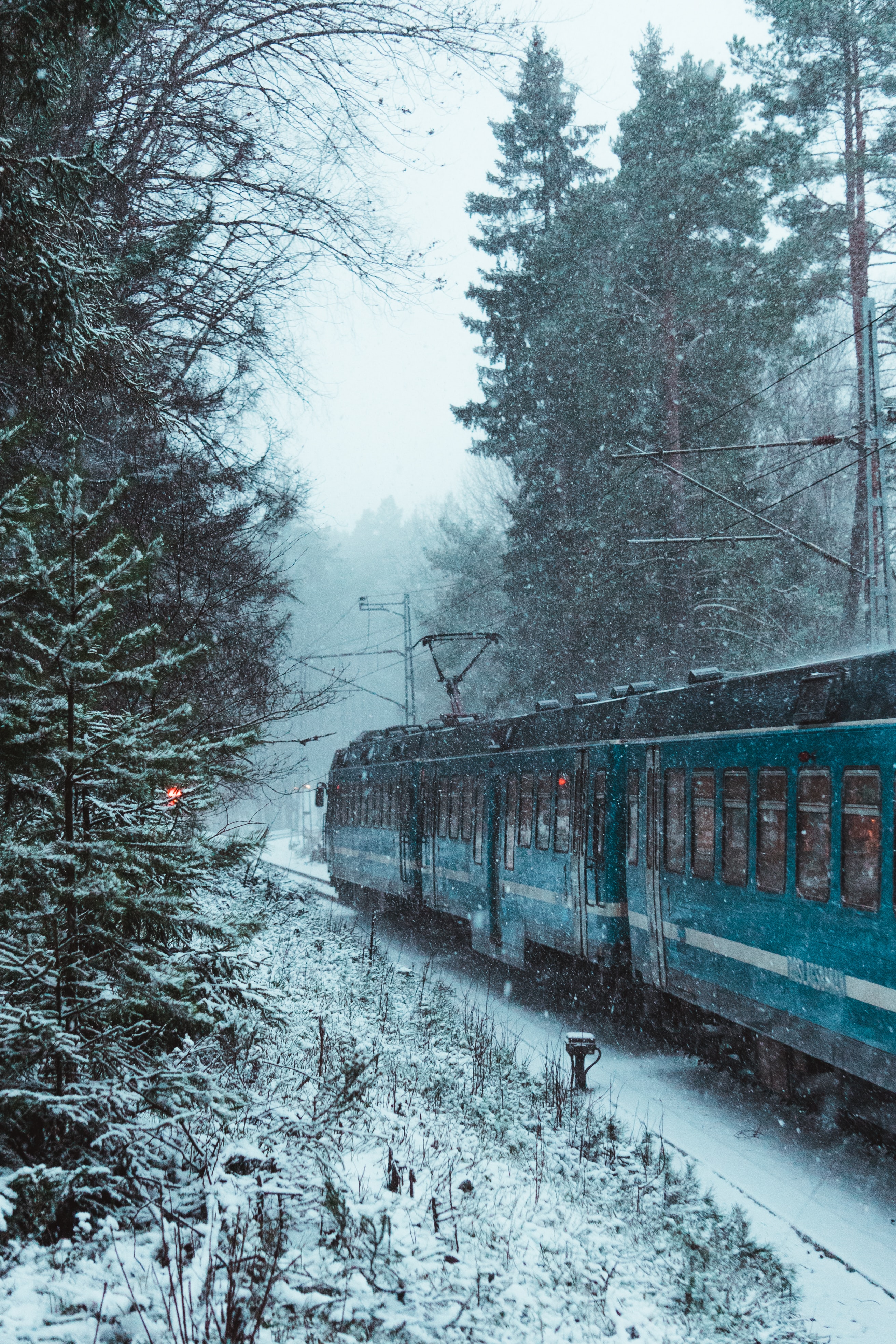 snow, train, winter, miscellanea, miscellaneous, forest Phone Background