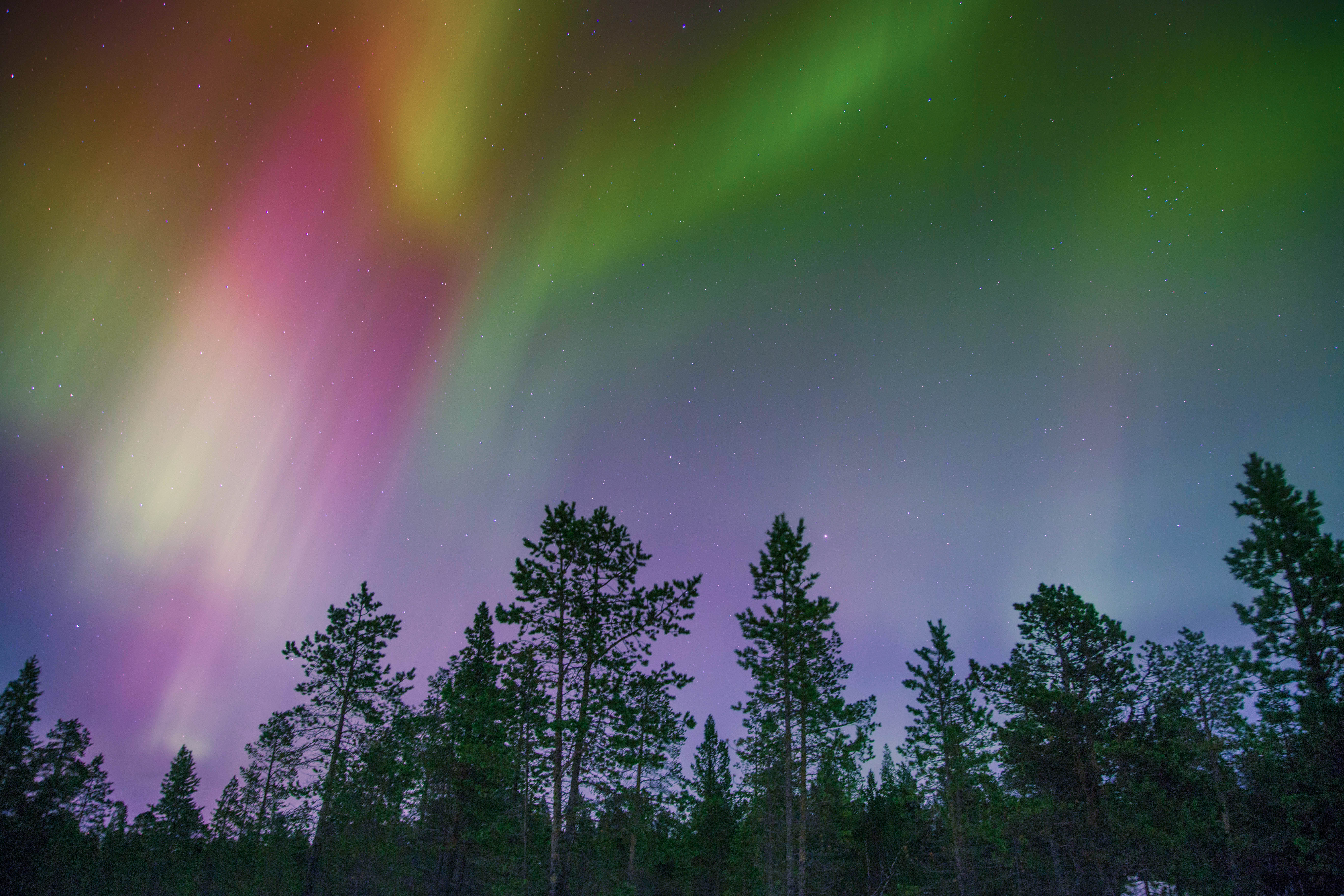 Free download wallpaper Nature, Trees, Motley, Multicolored, Northern Lights, Aurora Borealis on your PC desktop