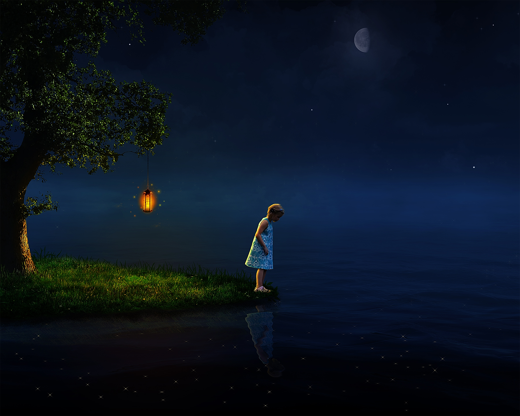 lamp, moon, lake, fantasy, artistic, grass, night, sky, stars, tree