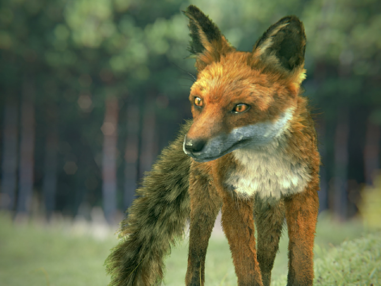 Laden Sie das Tiere, Fuchs-Bild kostenlos auf Ihren PC-Desktop herunter