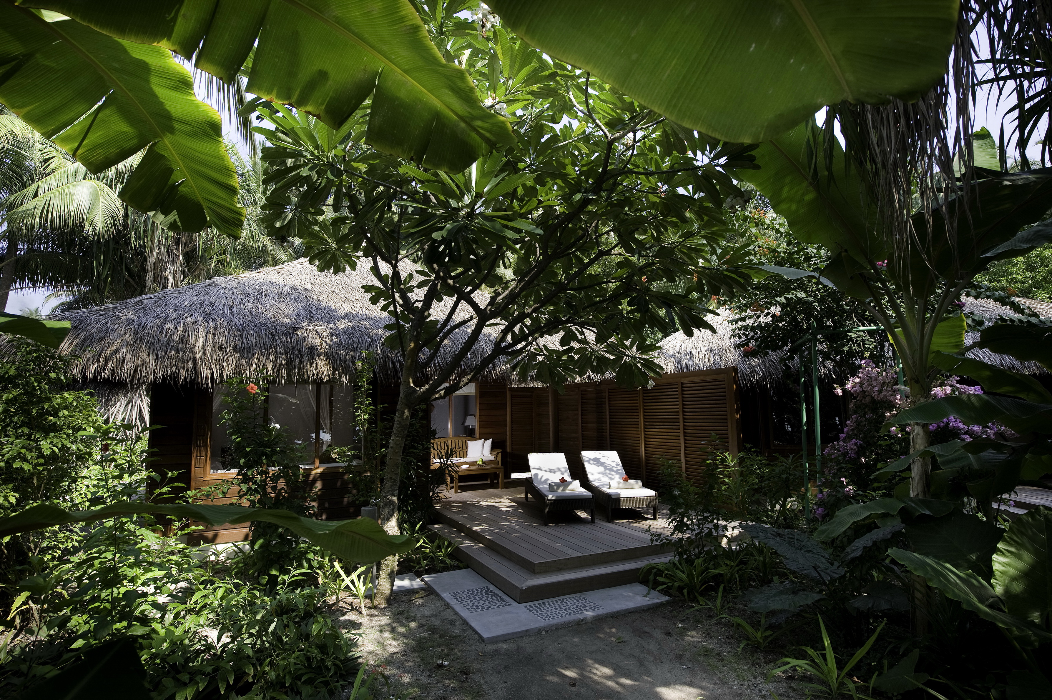 540870 завантажити картинку будинок, створено людиною, джунглі, тропічний - шпалери і заставки безкоштовно