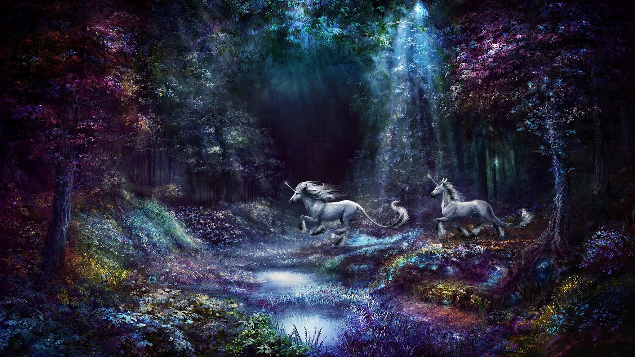 Download mobile wallpaper Fantasy, Forest, Unicorn, Sunbeam, Fantasy Animals for free.