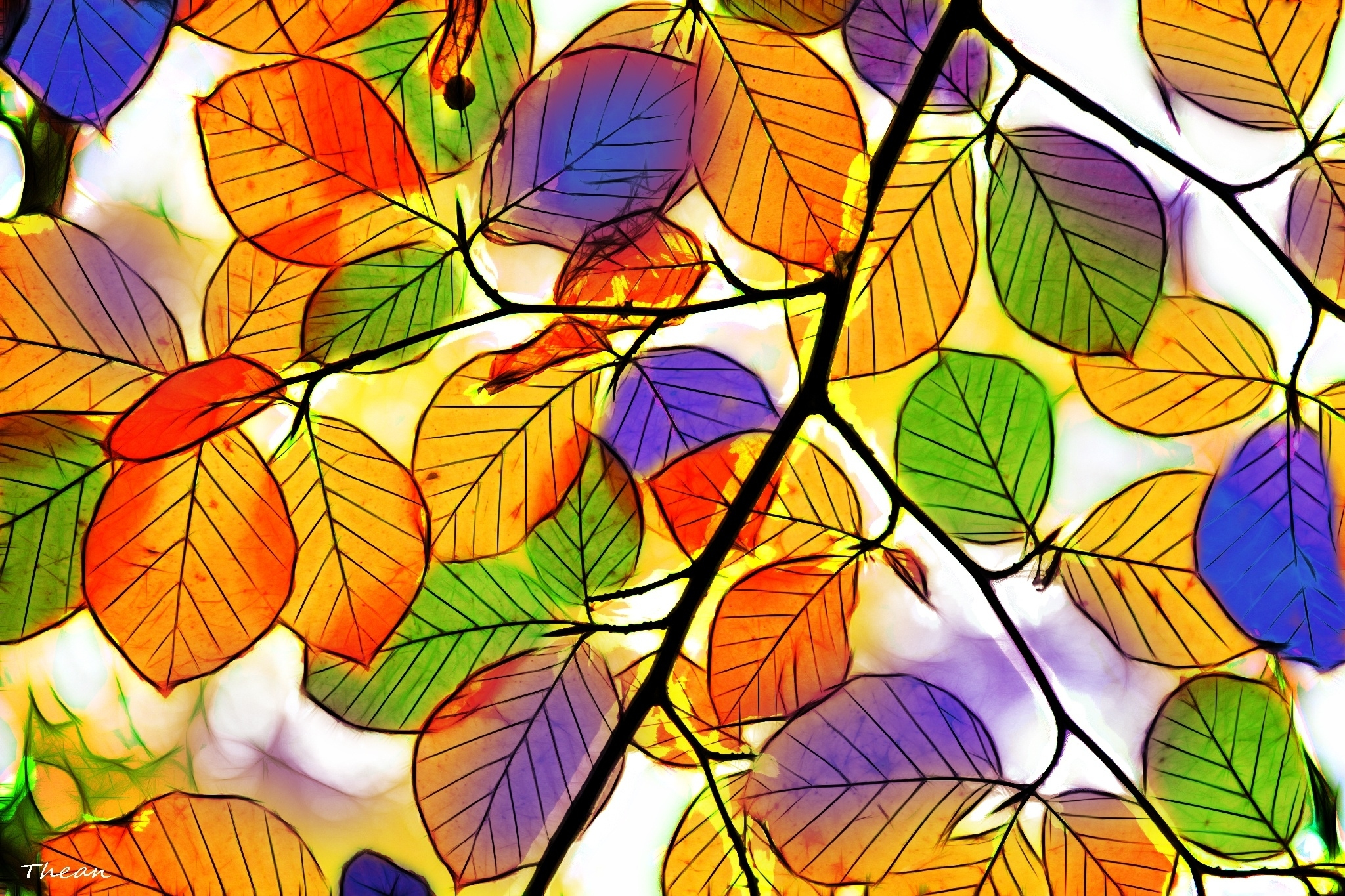 Download mobile wallpaper Leaf, Fall, Colors, Artistic for free.