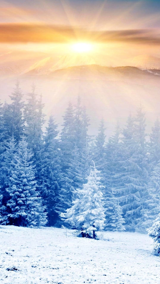 Download mobile wallpaper Winter, Earth for free.